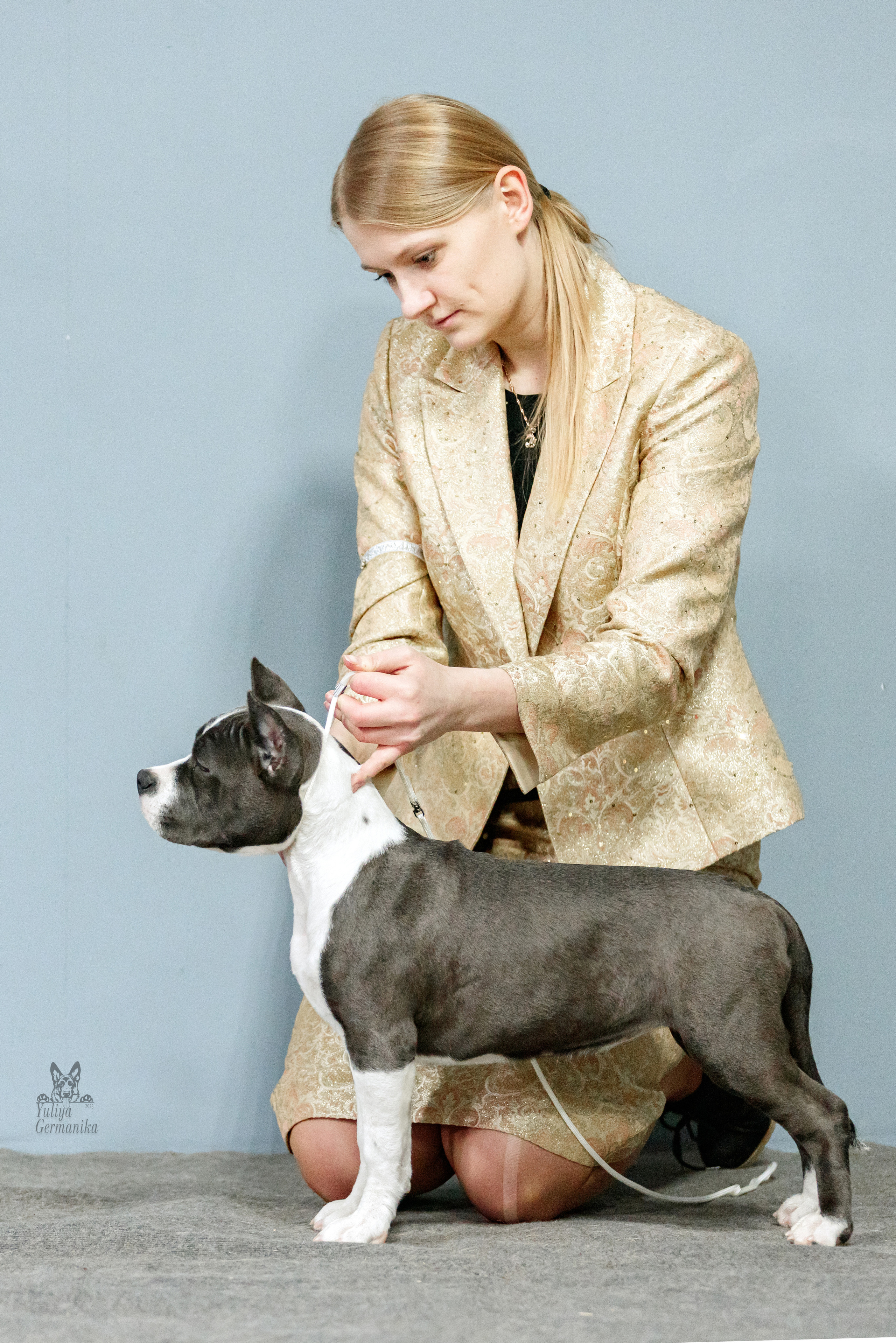 Тверь 19.02.2023. Фотограф-анималист Юлия Германика