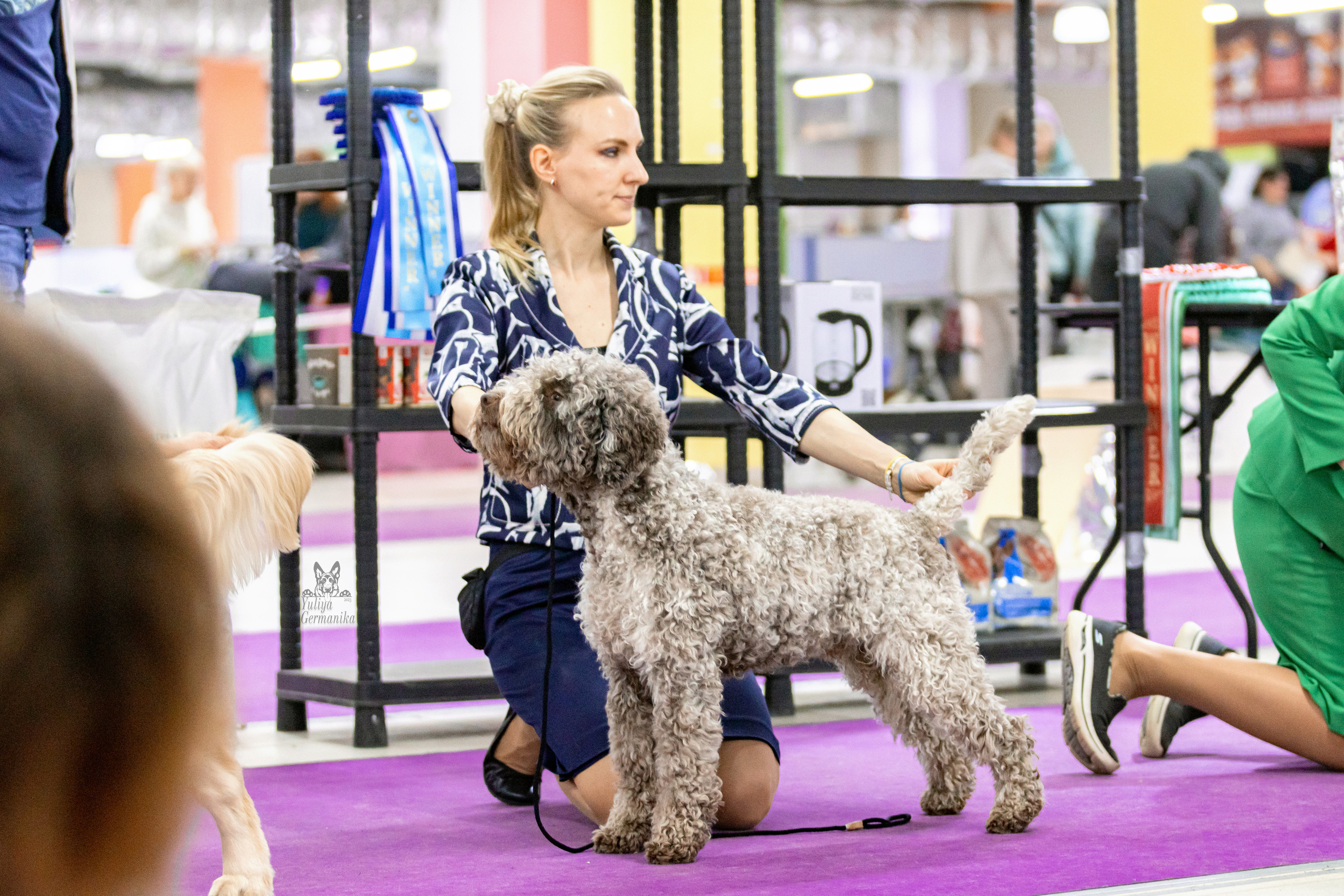 Чайна-Таун 15,21 и 22.01.2023. Фотограф-анималист Юлия Германика