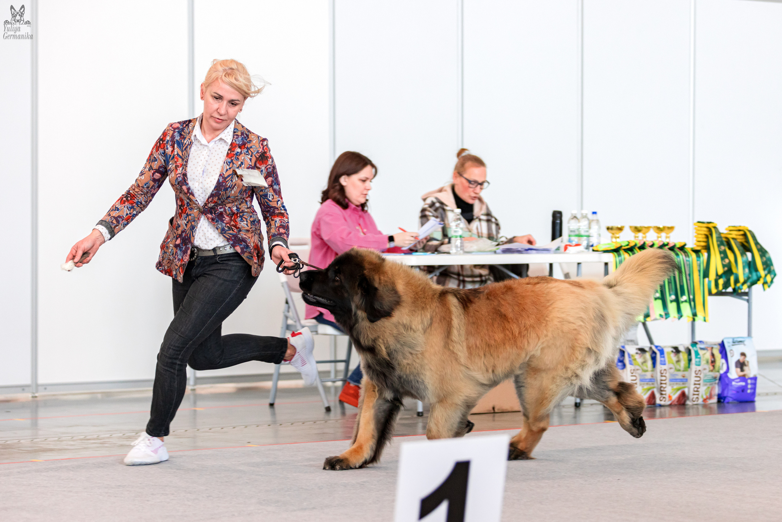 Казань 11.03.2023. Фотограф-анималист Юлия Германика