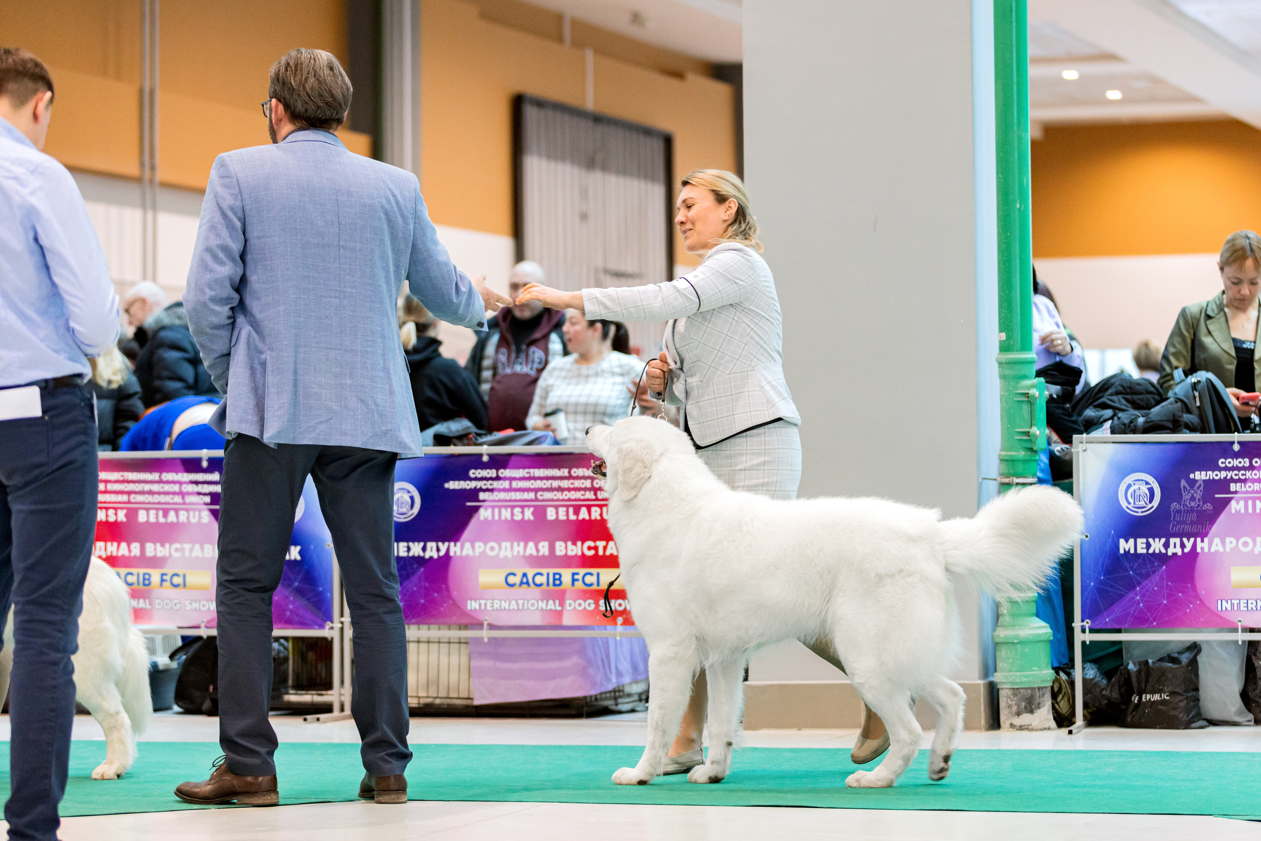 Минск 25-26.02.2023. Фотограф-анималист Юлия Германика