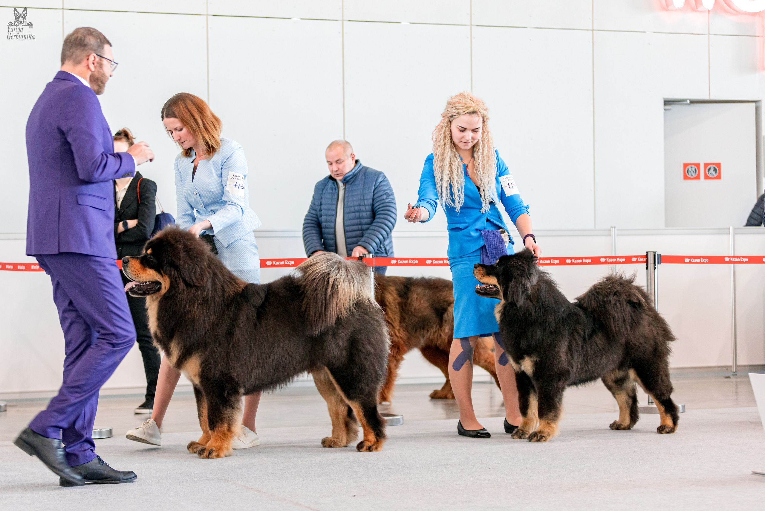 Казань 11.03.2023. Фотограф-анималист Юлия Германика