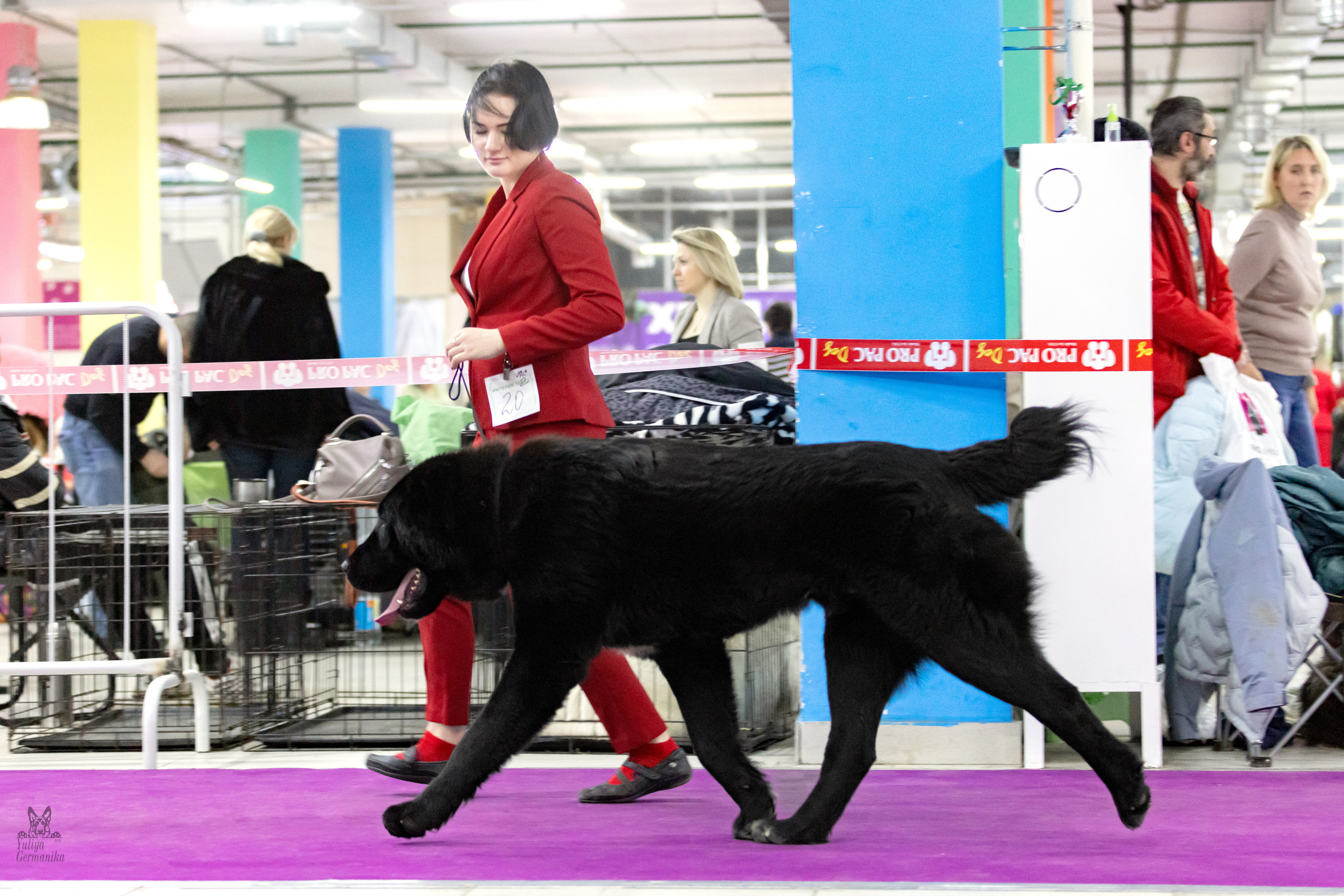 Чайна-Таун 4-5.02.2023. Фотограф-анималист Юлия Германика