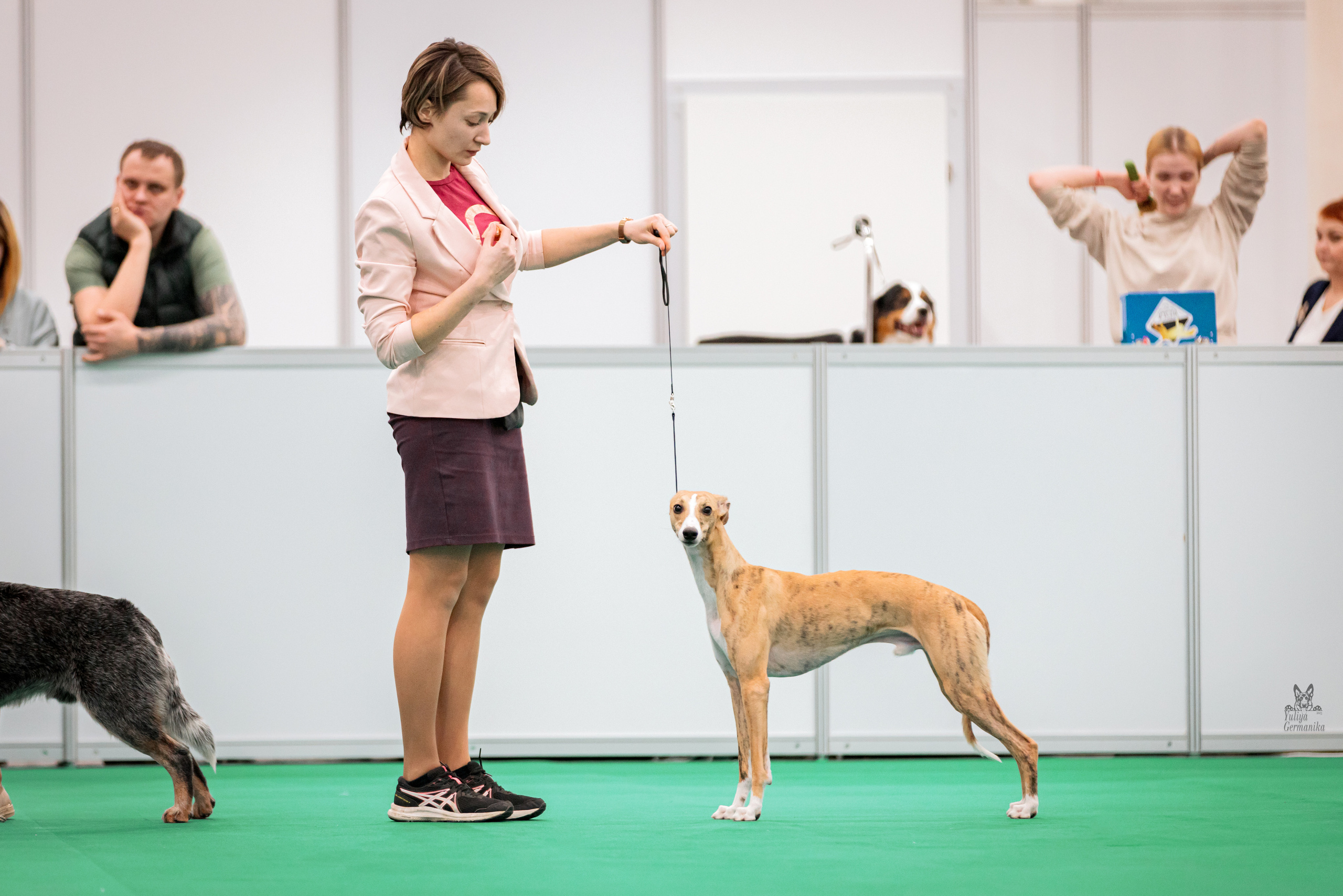 Казань 11.03.2023. Фотограф-анималист Юлия Германика