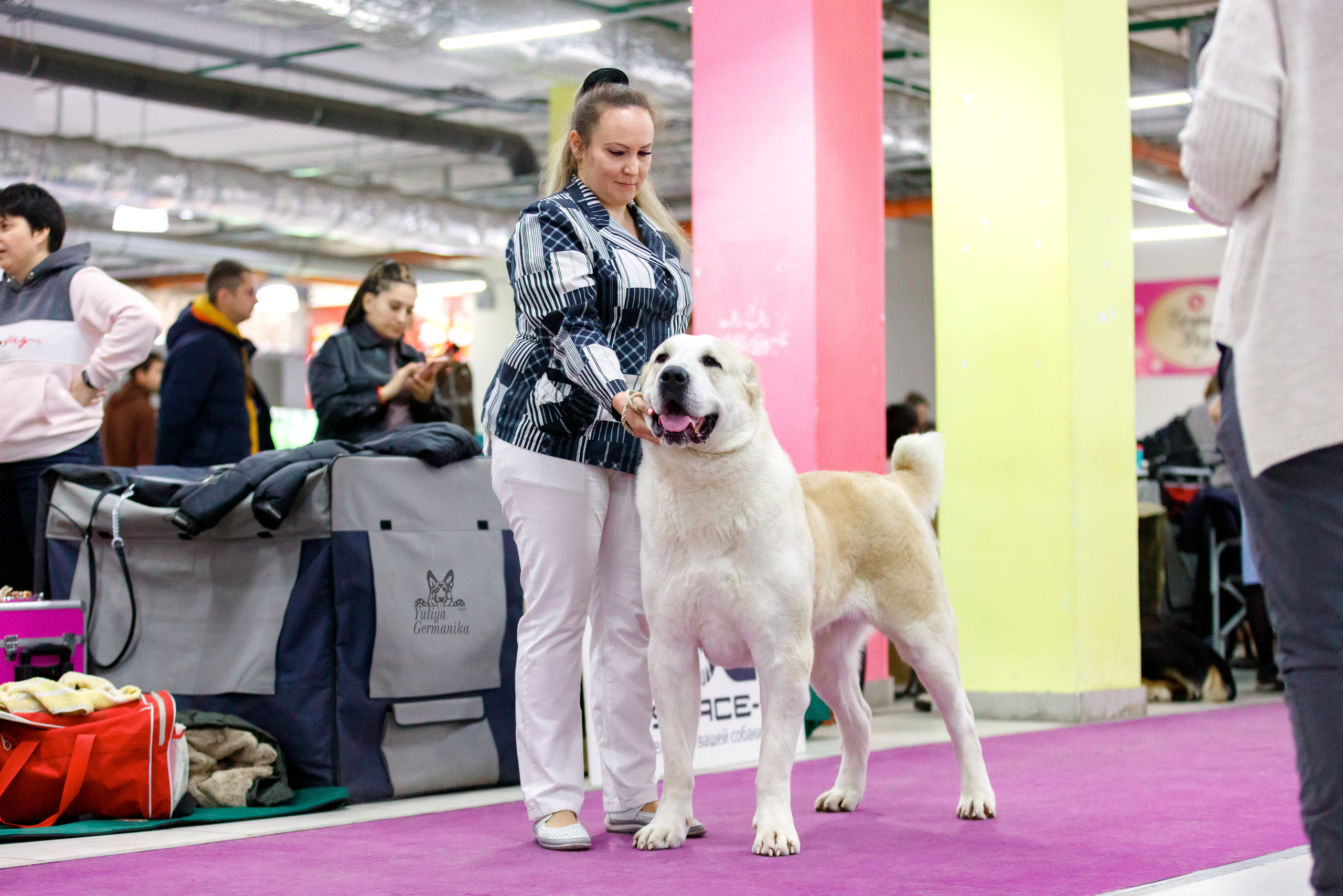 Чайна-Таун 3 и 10.12.2022. Фотограф-анималист Юлия Германика