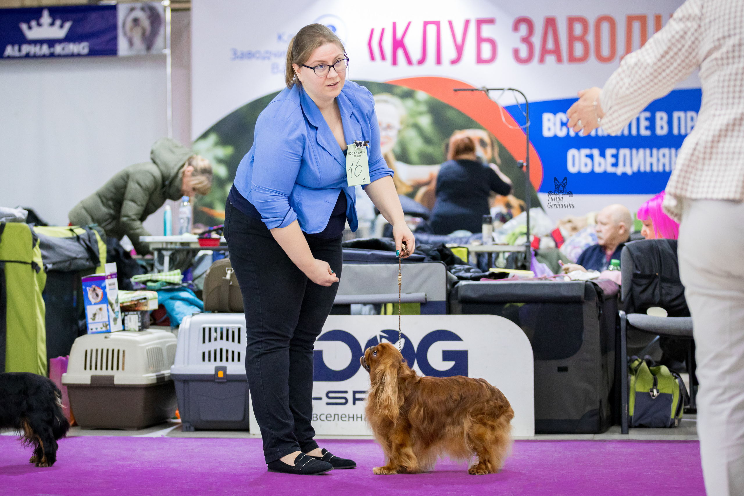 Чайна-Таун 24-25.12.2022. Фотограф-анималист Юлия Германика