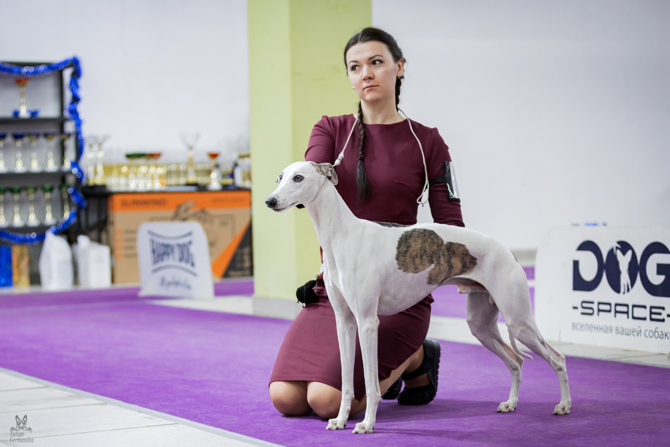 Чайна-Таун 5-8.01.2023. Фотограф-анималист Юлия Германика