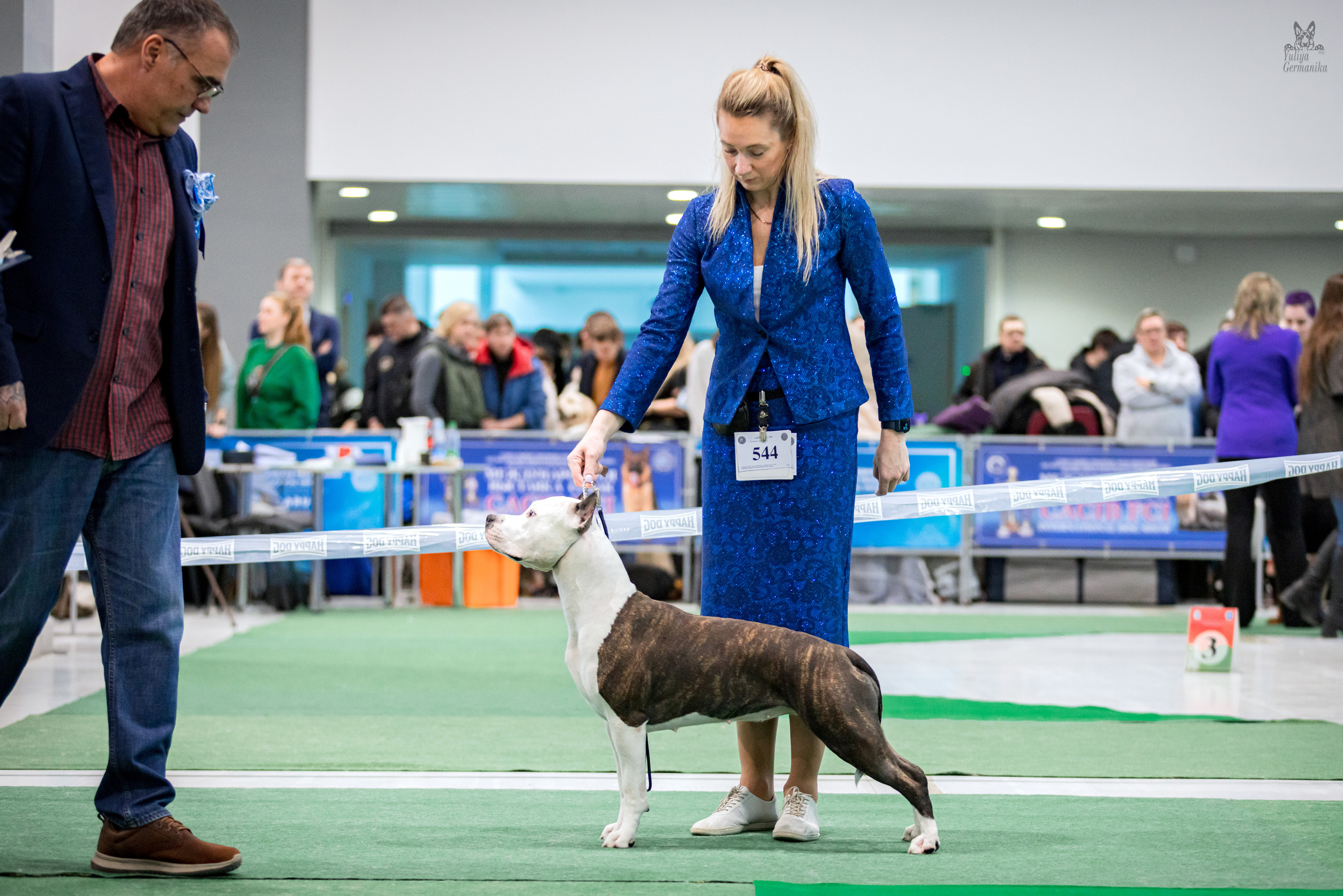 Минск 25-26.02.2023. Фотограф-анималист Юлия Германика