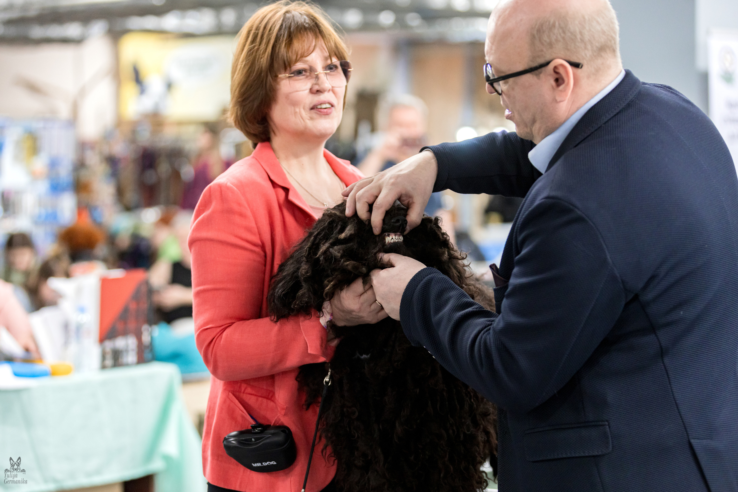 Сфера 5.03.2023. Фотограф-анималист Юлия Германика