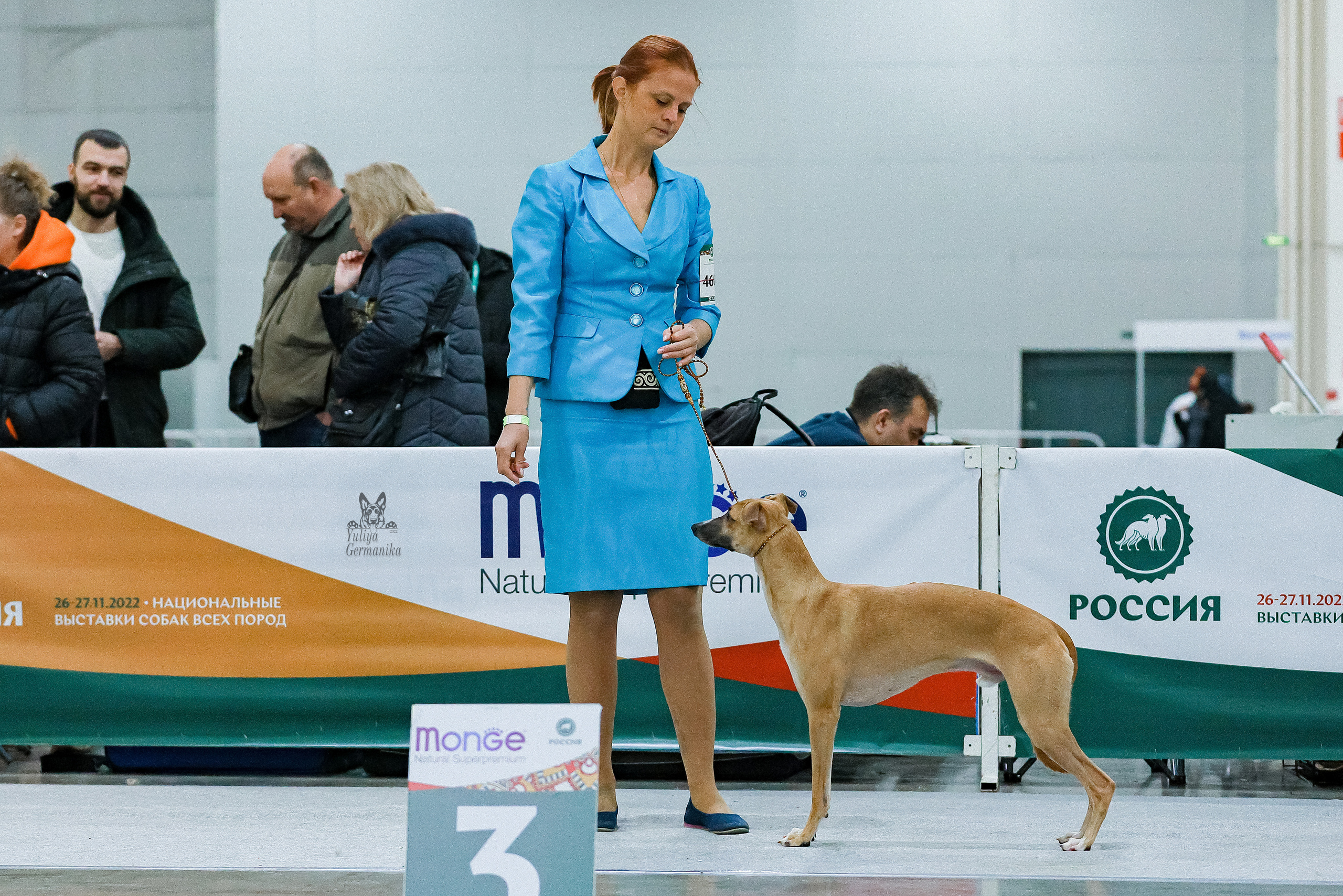 Россия 2020-2022 26-27.11.2022. Фотограф-анималист Юлия Германика