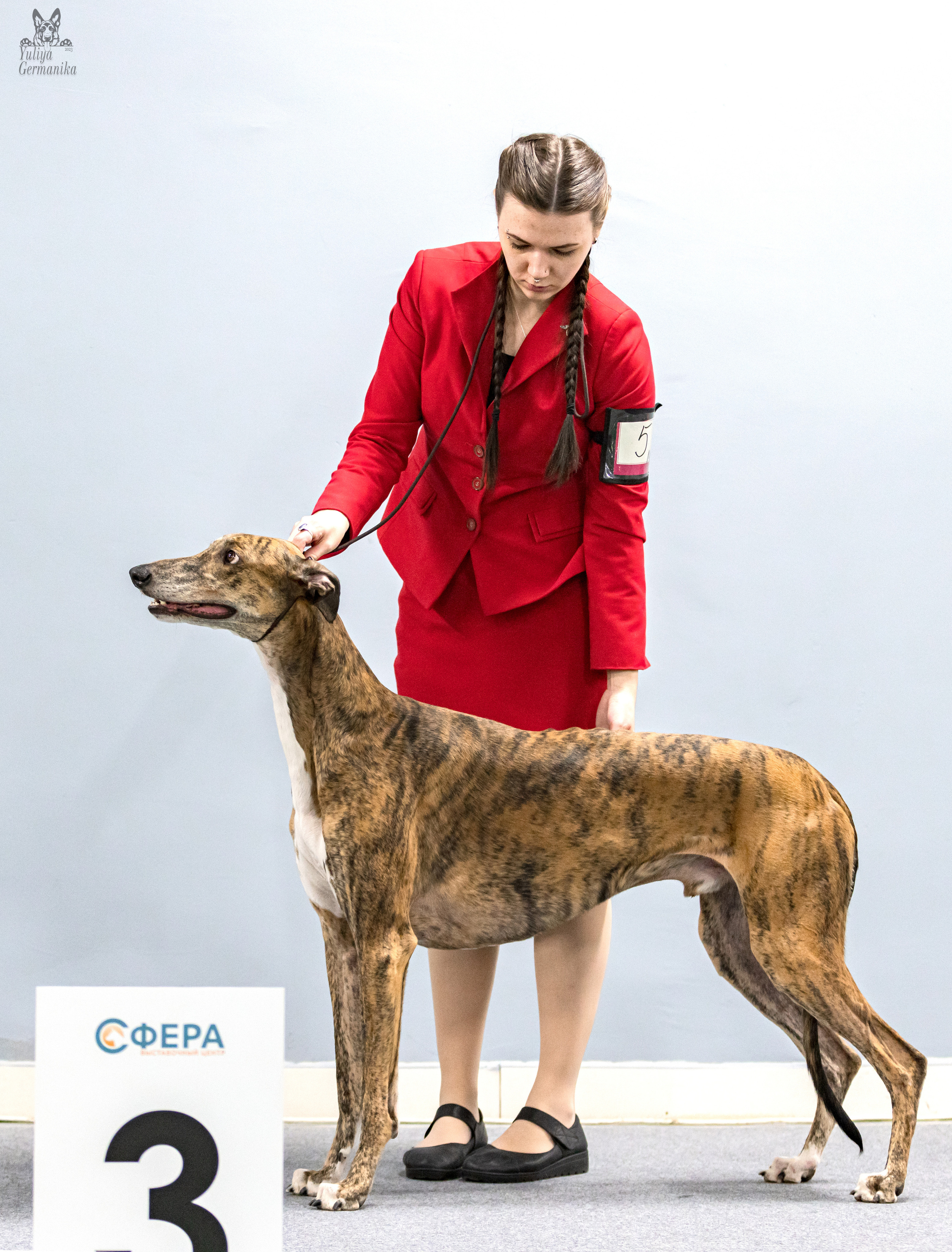 Сфера 5.03.2023. Фотограф-анималист Юлия Германика