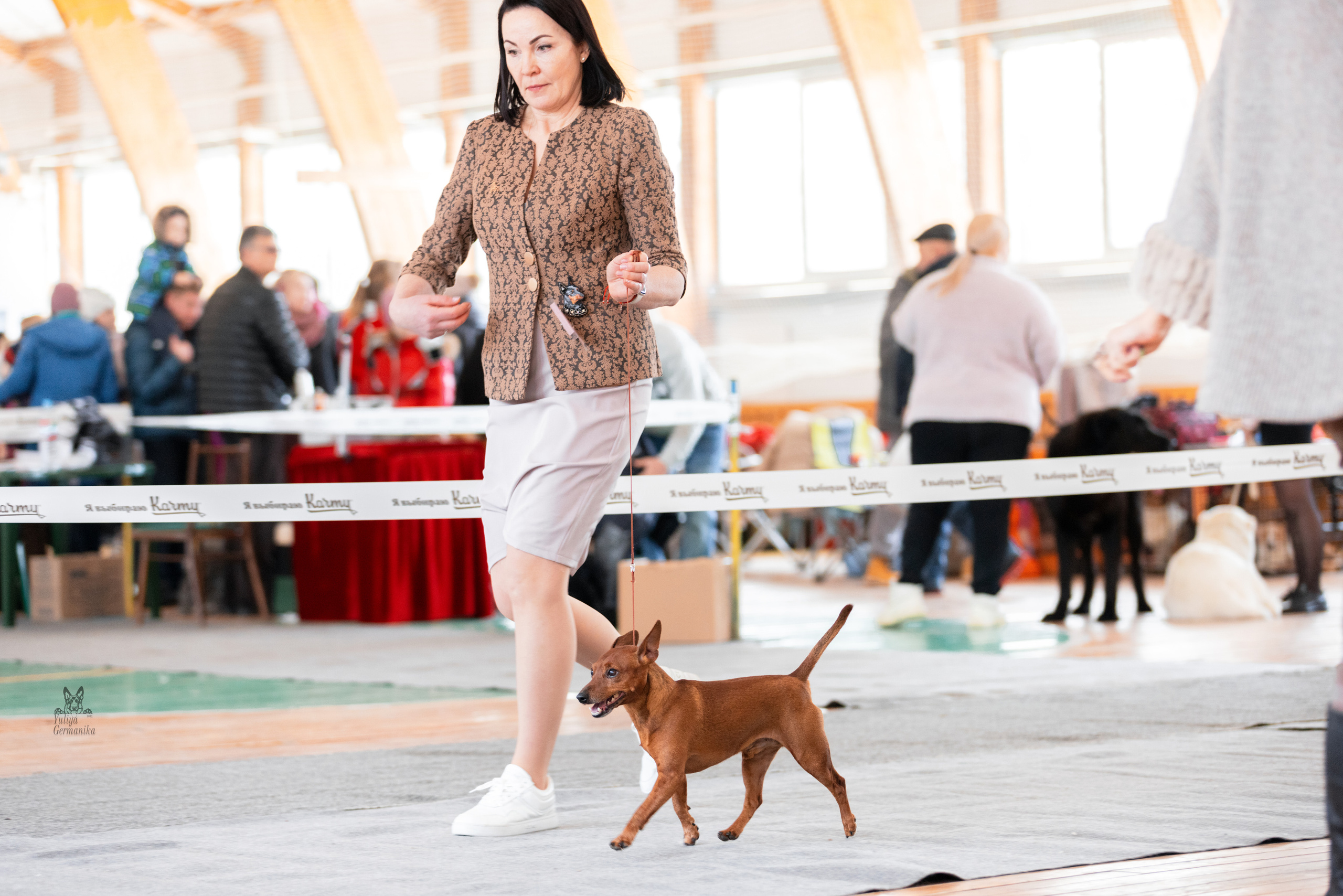 Тверь 19.03.2023. Фотограф-анималист Юлия Германика