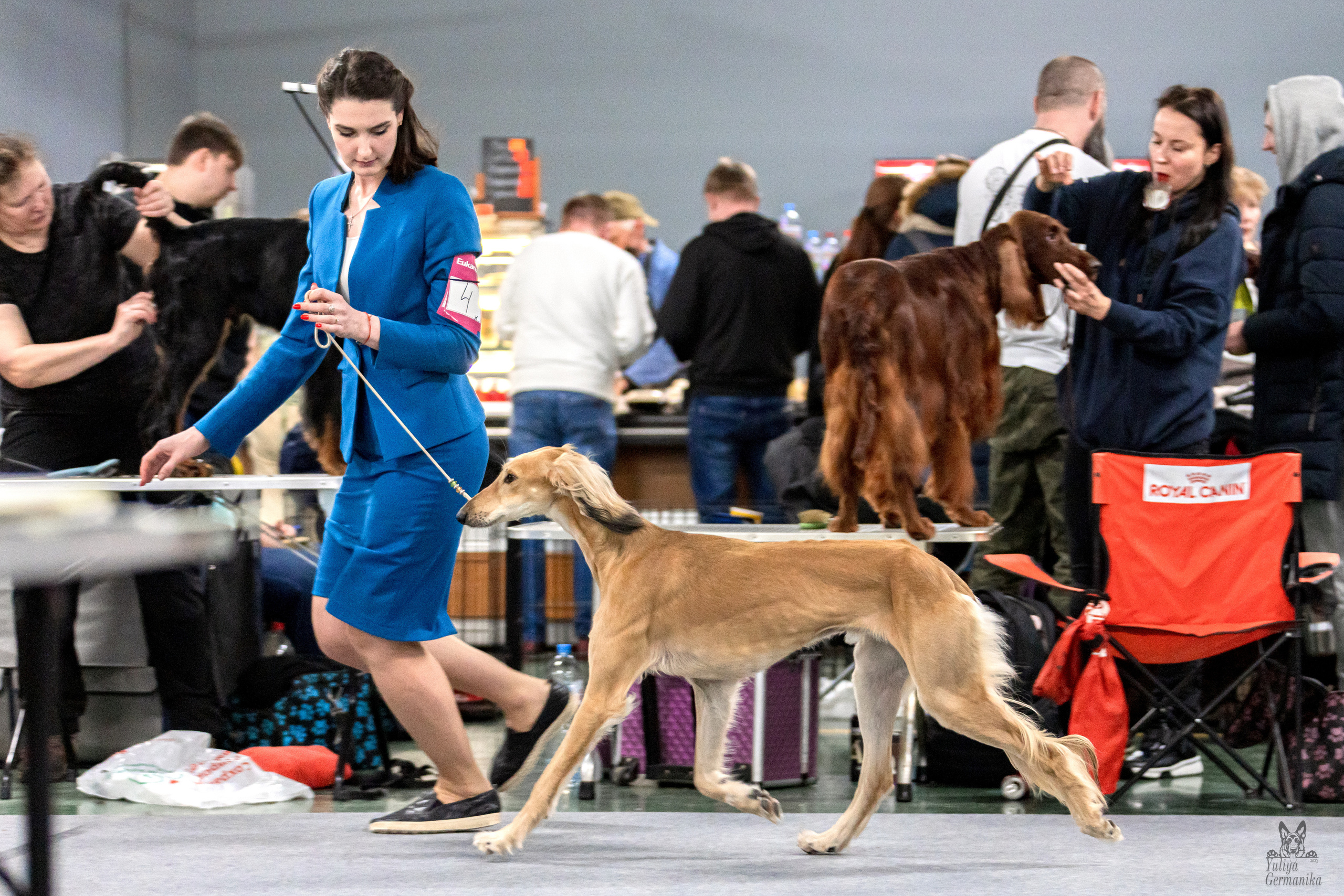 Сфера 5.03.2023. Фотограф-анималист Юлия Германика