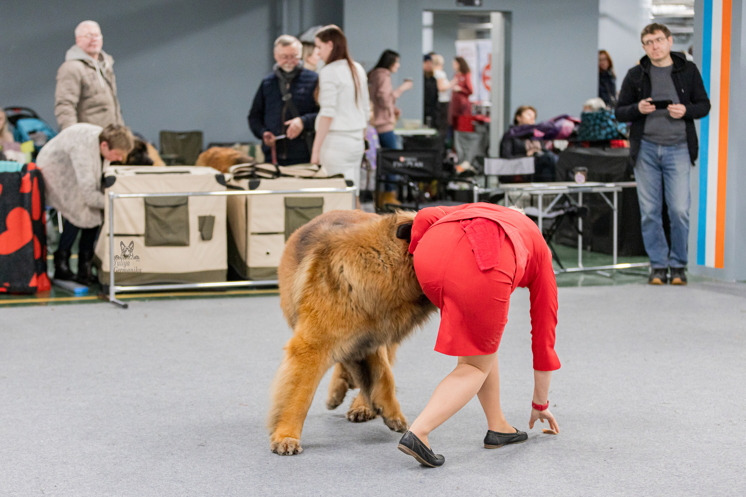 Сфера 5.03.2023. Фотограф-анималист Юлия Германика