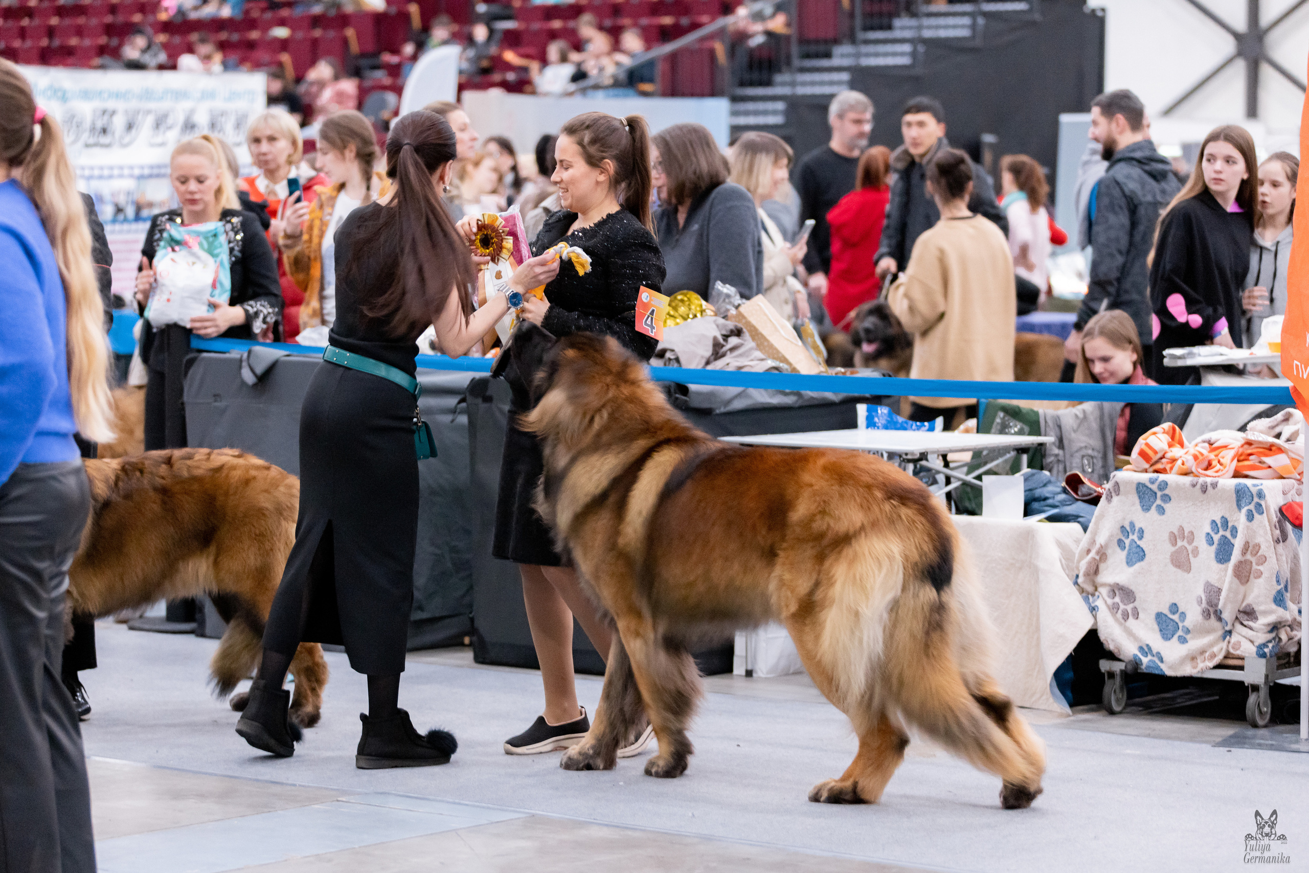 Питер 17-18.12.2022. Фотограф-анималист Юлия Германика