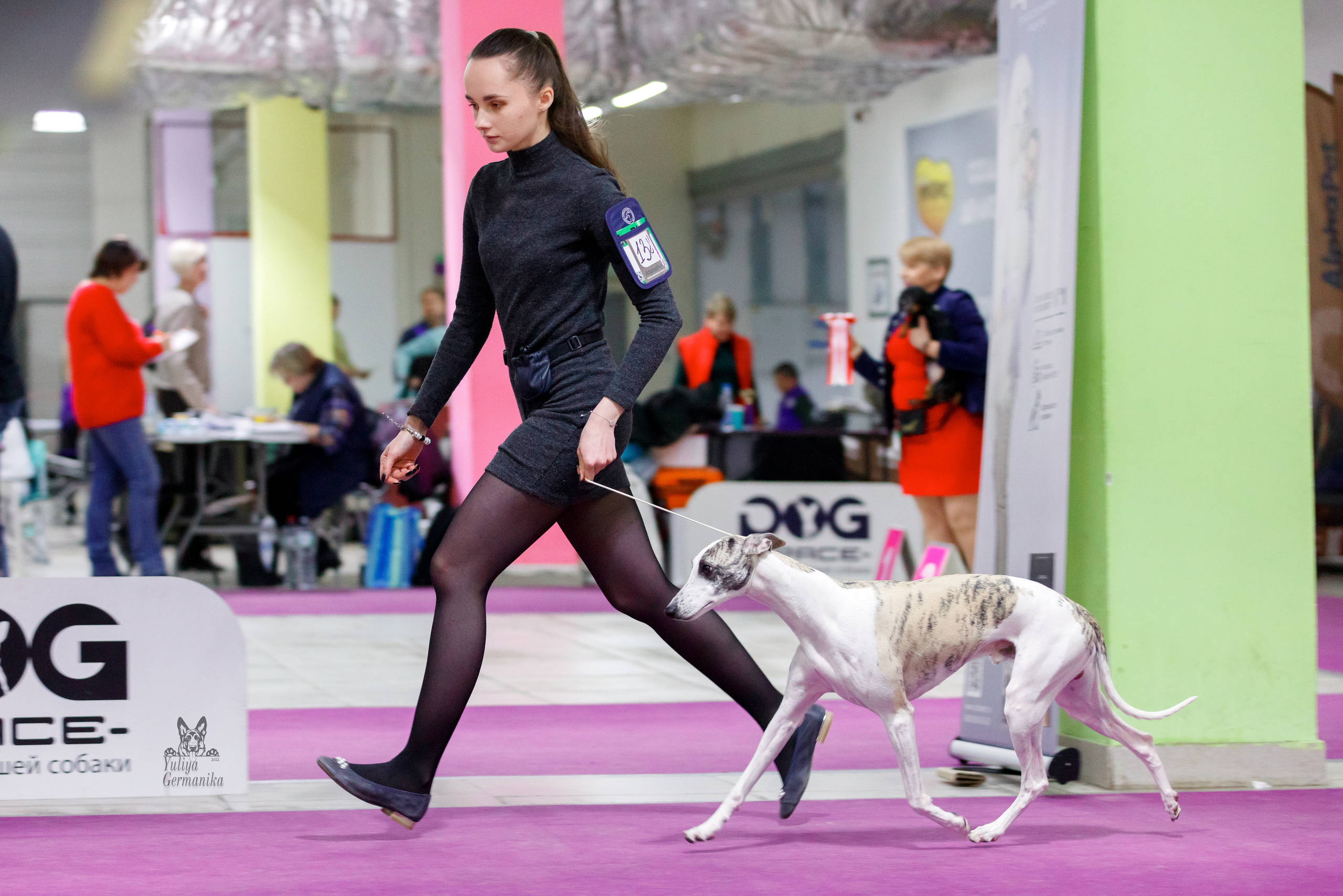 Чайна-Таун 3 и 10.12.2022. Фотограф-анималист Юлия Германика