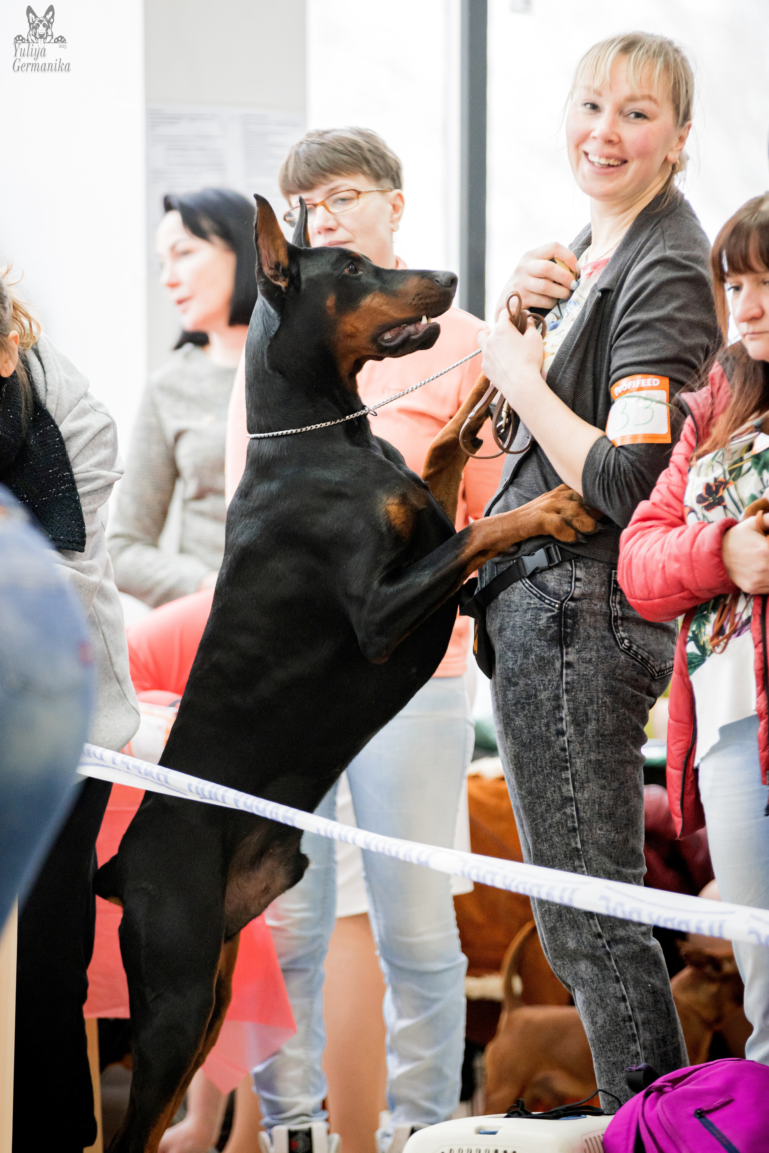 Тверь 19.02.2023. Фотограф-анималист Юлия Германика