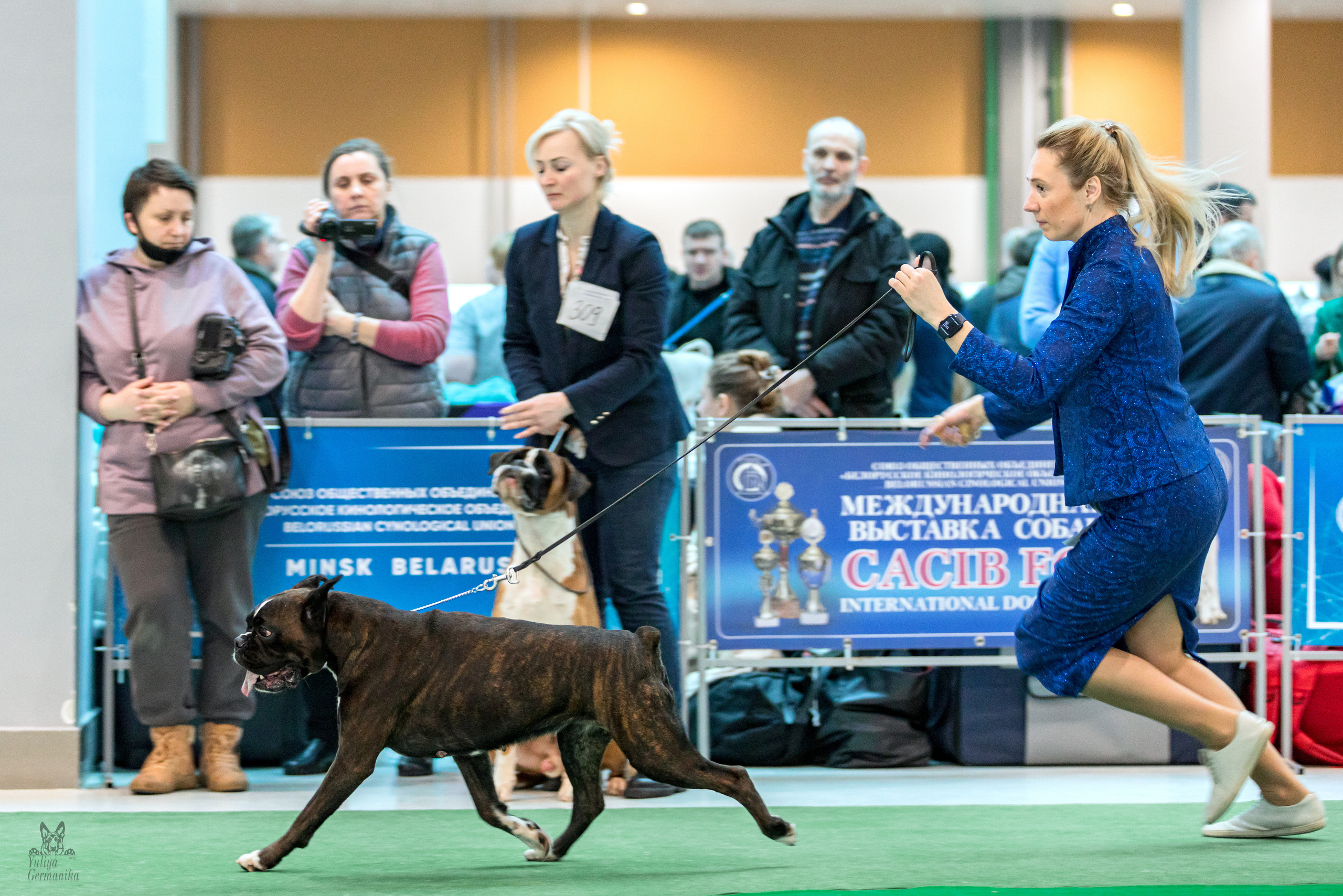 Минск 25-26.02.2023. Фотограф-анималист Юлия Германика