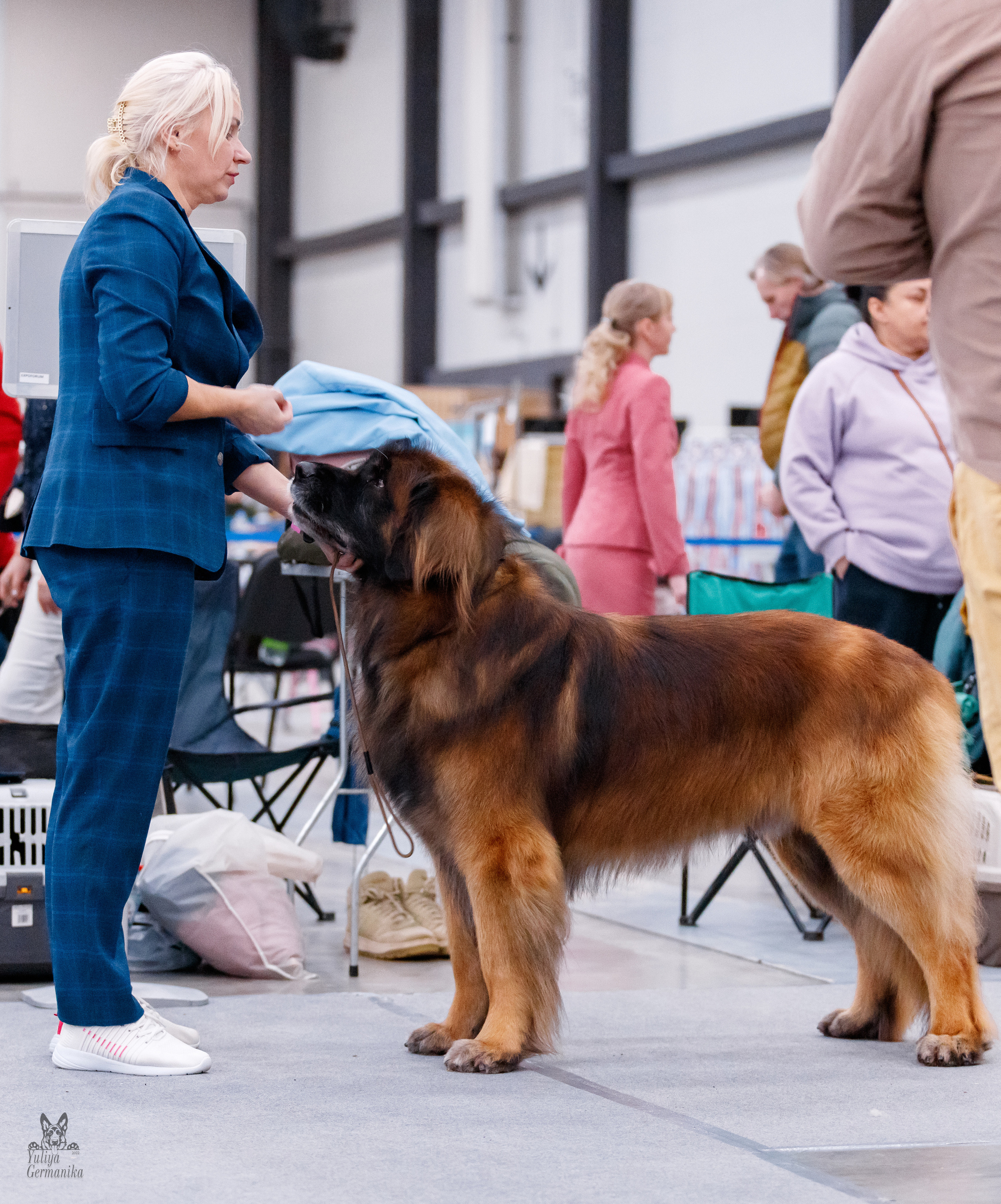 Питер 17-18.12.2022. Фотограф-анималист Юлия Германика