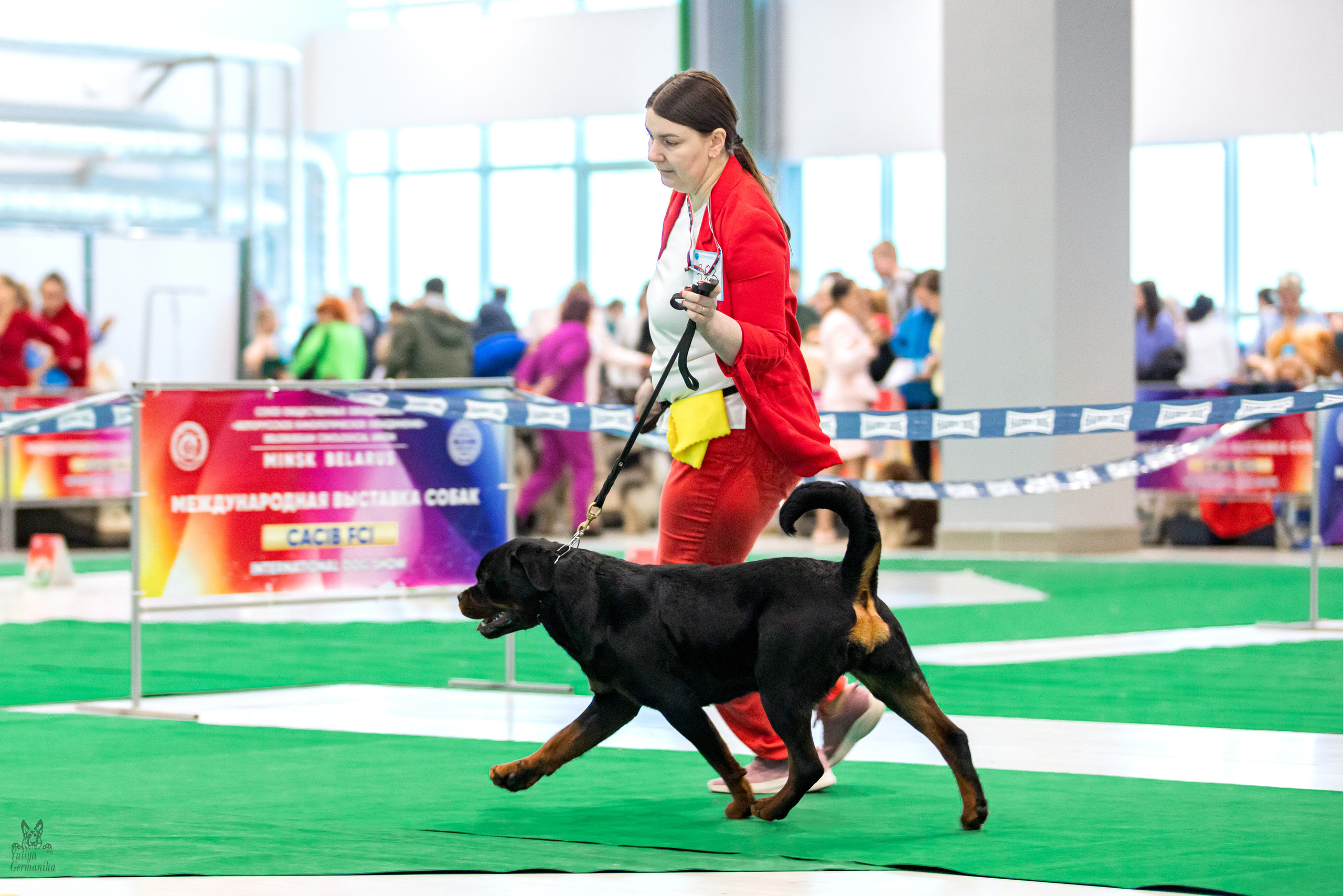 Минск 25-26.02.2023. Фотограф-анималист Юлия Германика