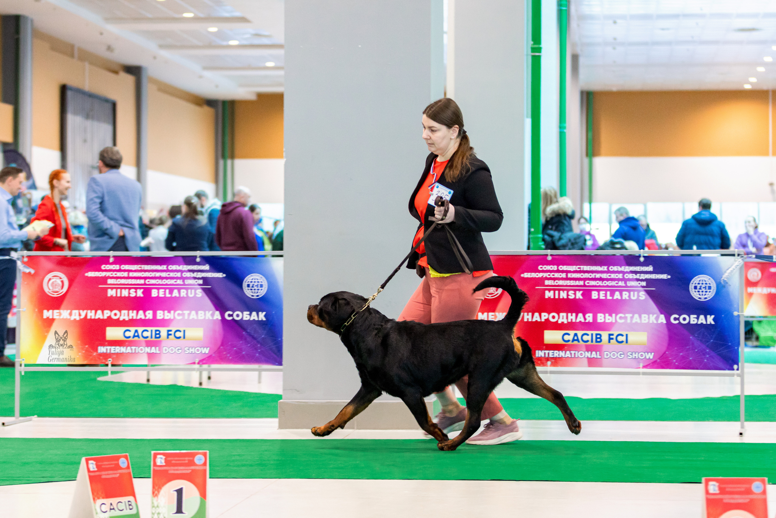 Минск 25-26.02.2023. Фотограф-анималист Юлия Германика