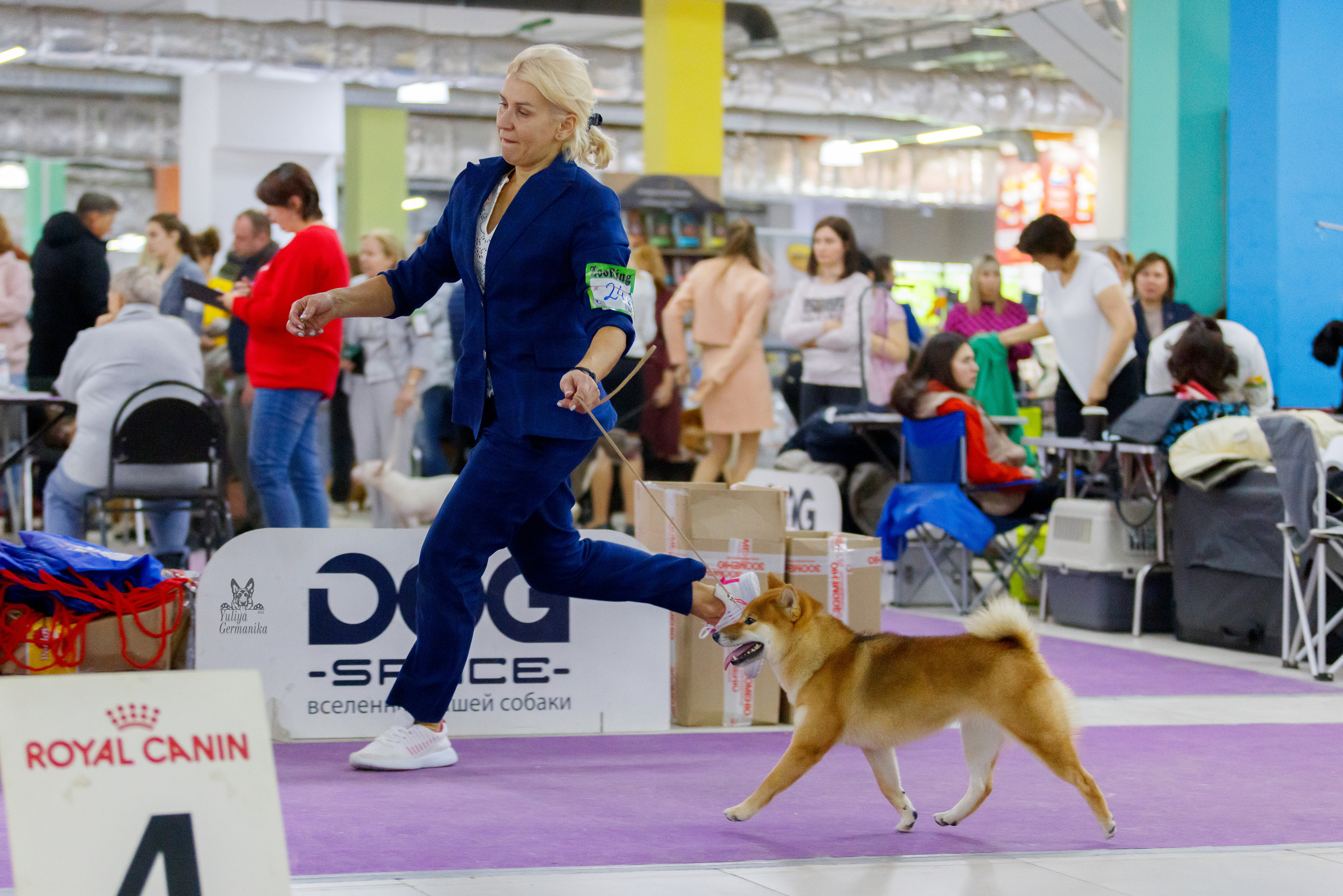 Чайна-Таун 3 и 10.12.2022. Фотограф-анималист Юлия Германика