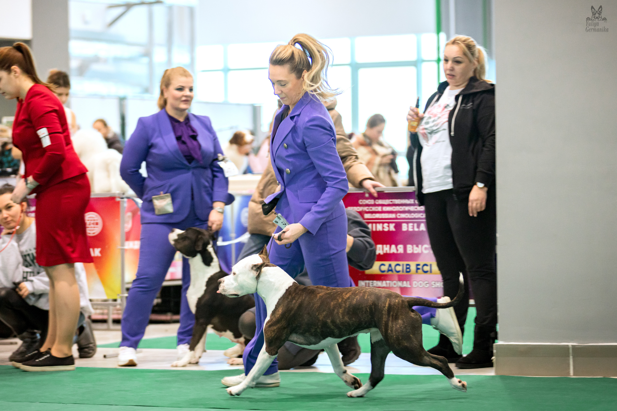Минск 25-26.02.2023. Фотограф-анималист Юлия Германика