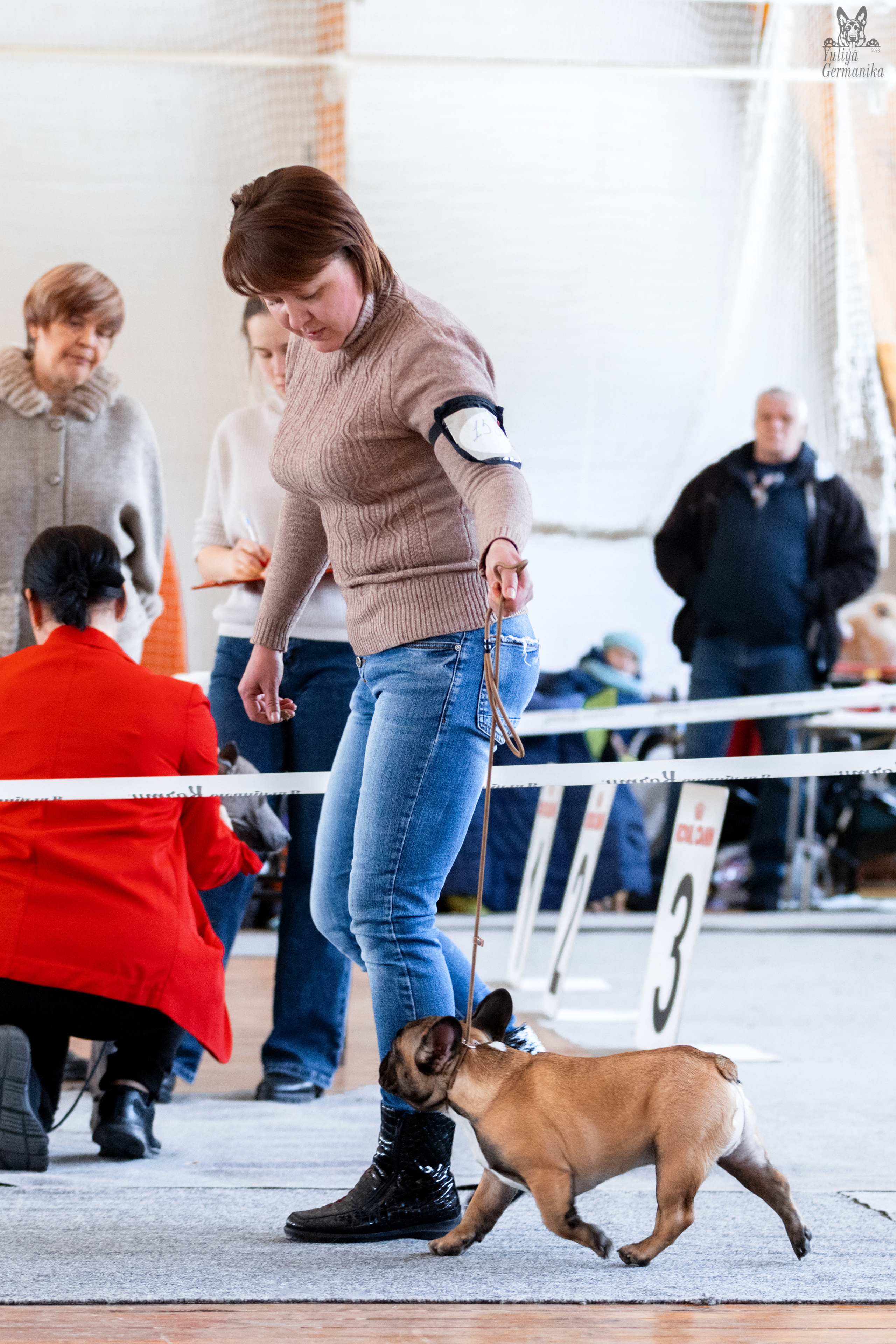 Тверь 19.03.2023. Фотограф-анималист Юлия Германика