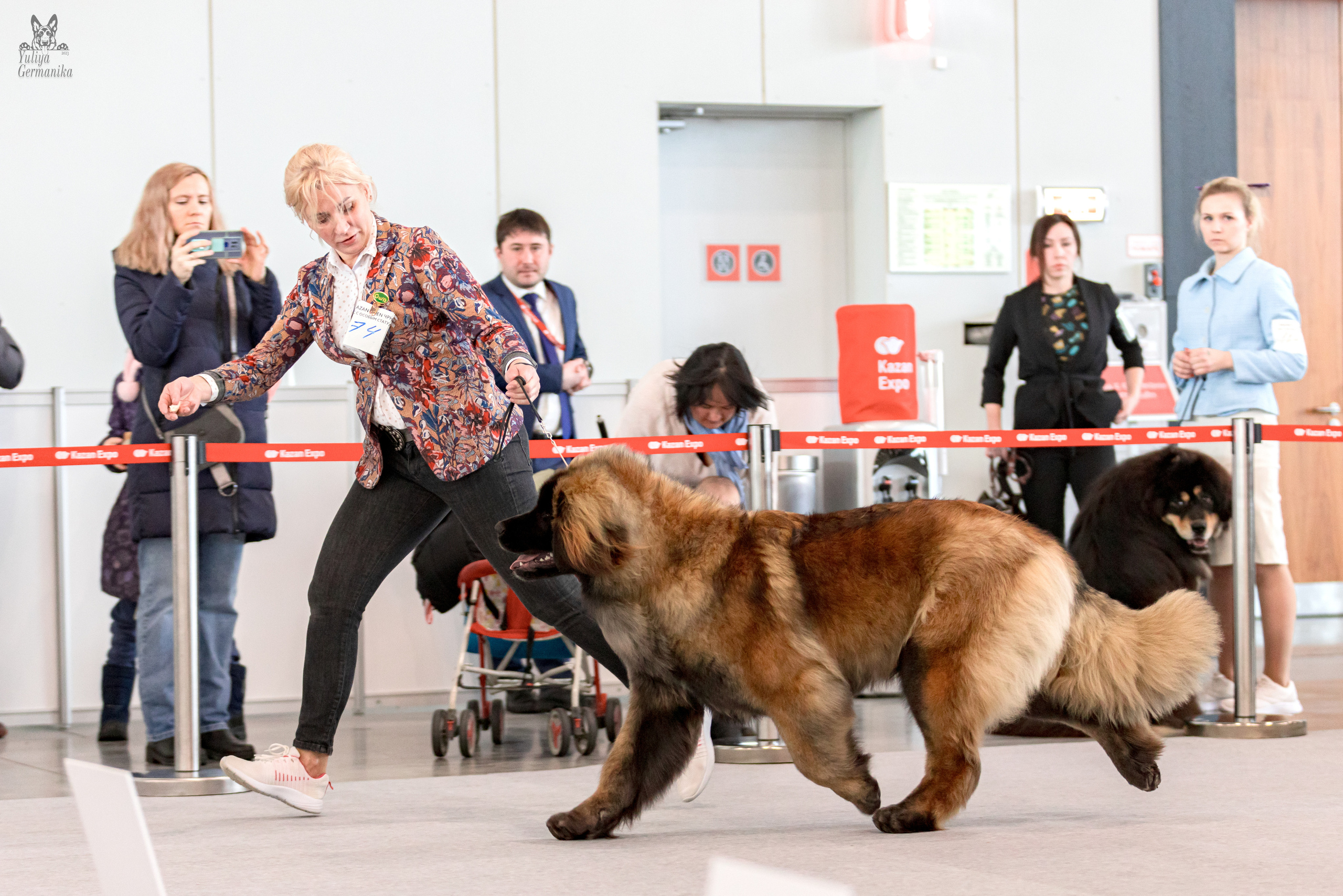 Казань 11.03.2023. Фотограф-анималист Юлия Германика