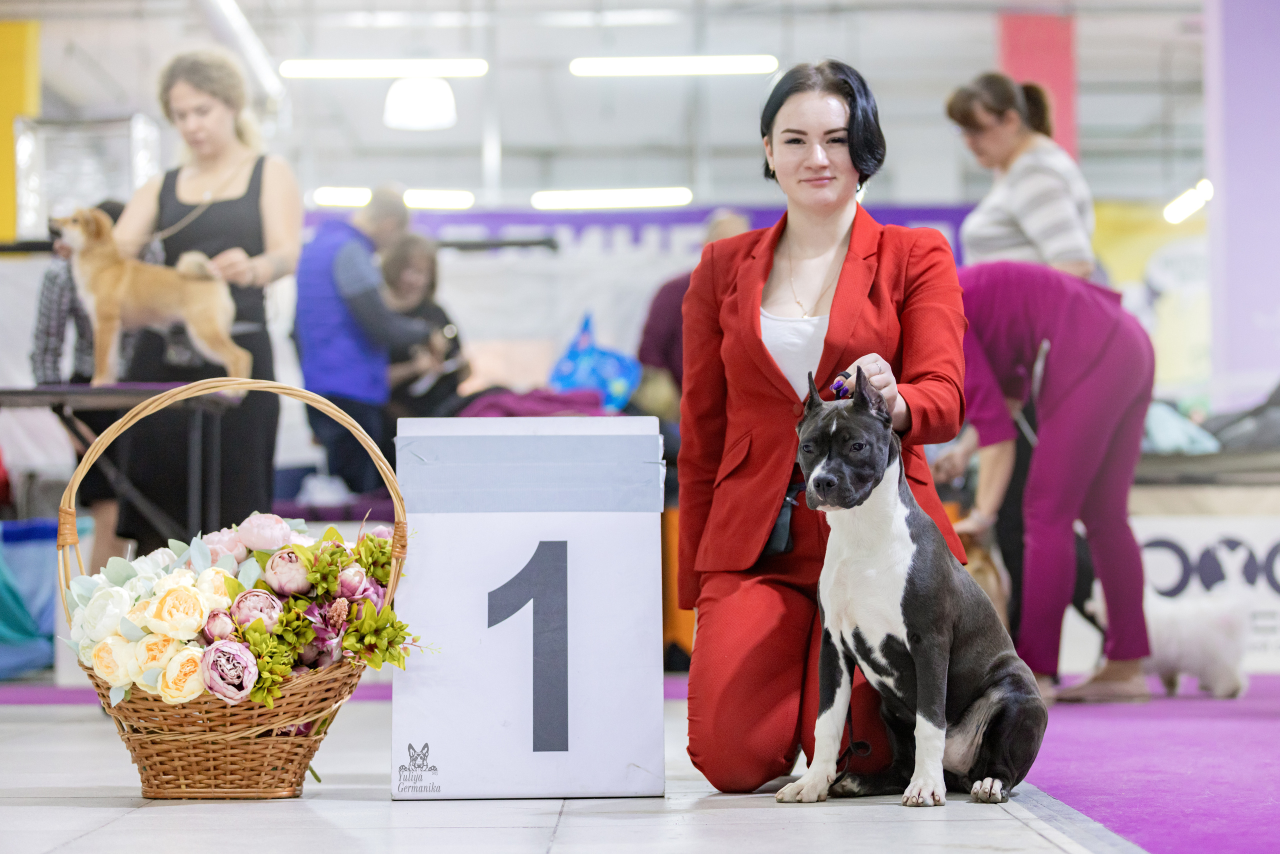 Чайна-Таун 4-5.02.2023. Фотограф-анималист Юлия Германика