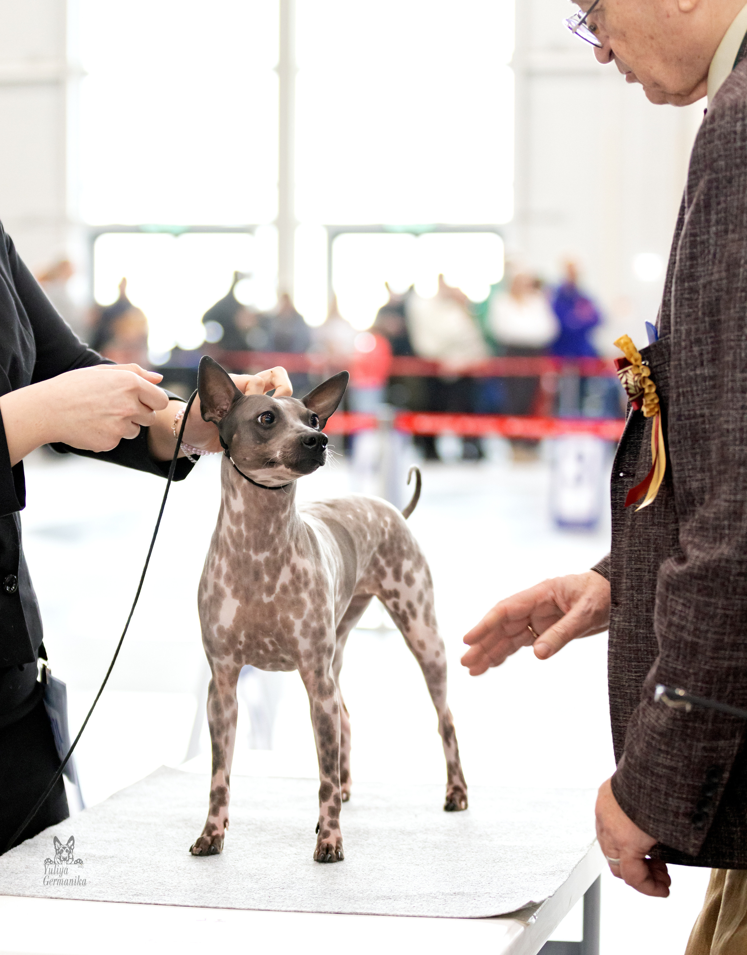 Сабанеевка,Казань 28-29.01.2023. Фотограф-анималист Юлия Германика
