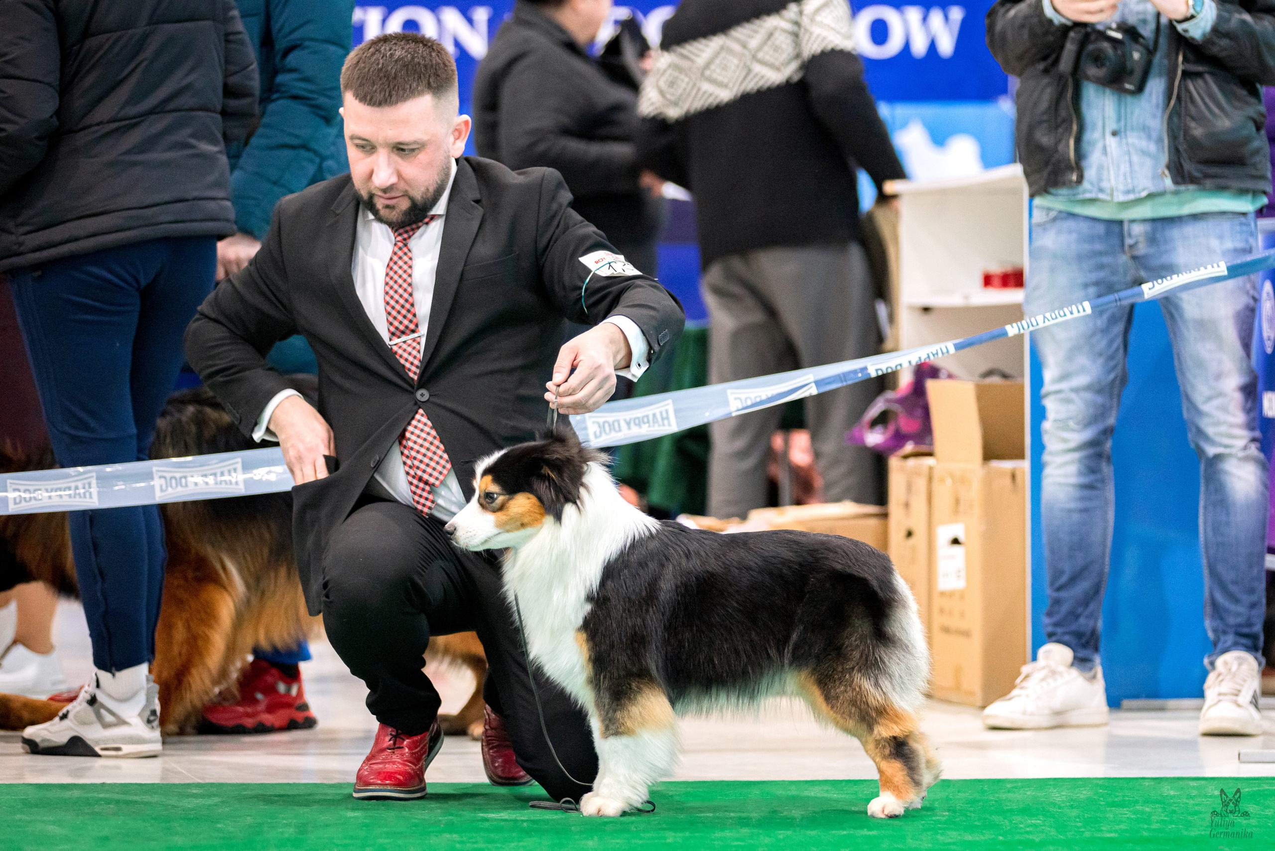 Минск 25-26.02.2023. Фотограф-анималист Юлия Германика