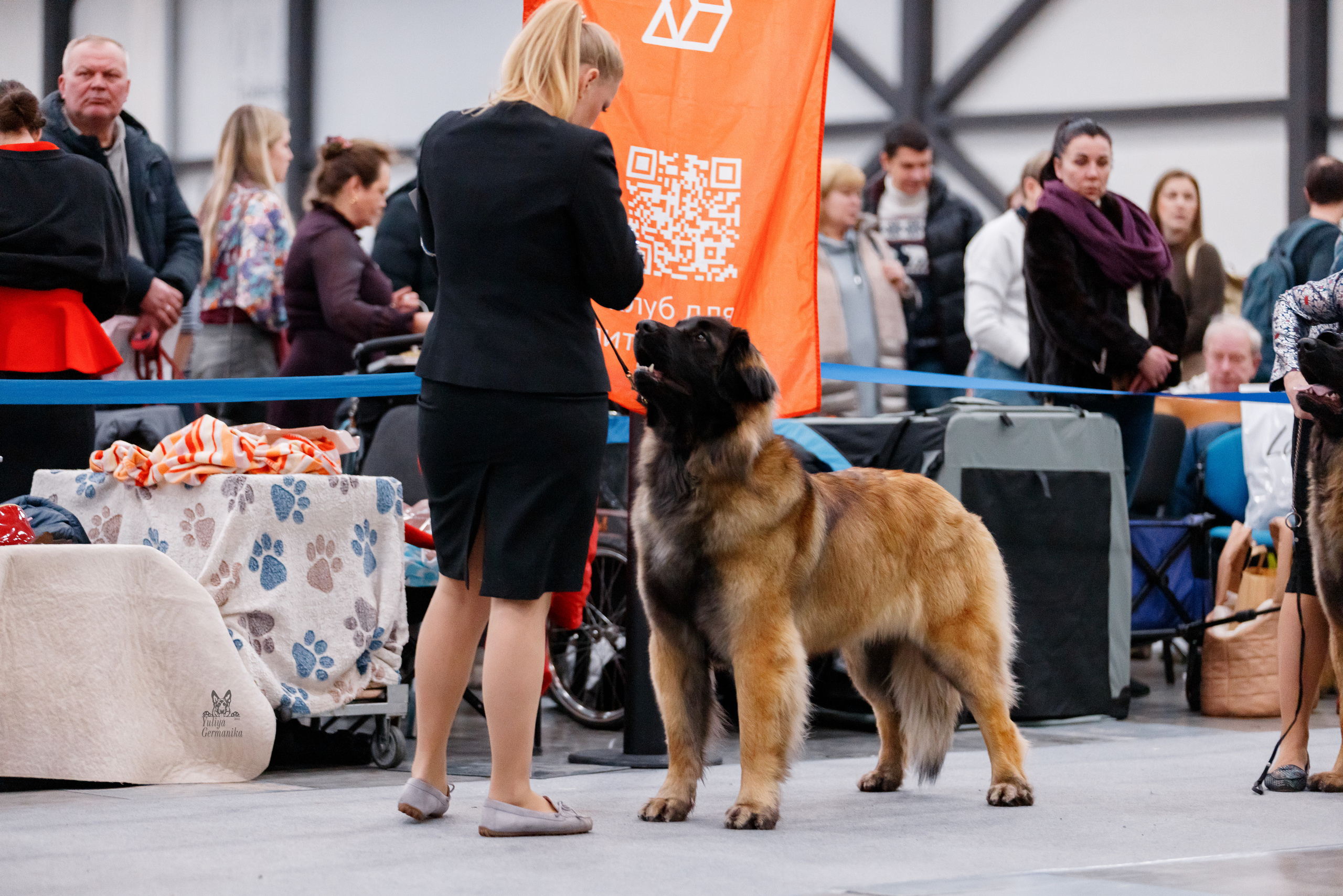 Питер 17-18.12.2022. Фотограф-анималист Юлия Германика