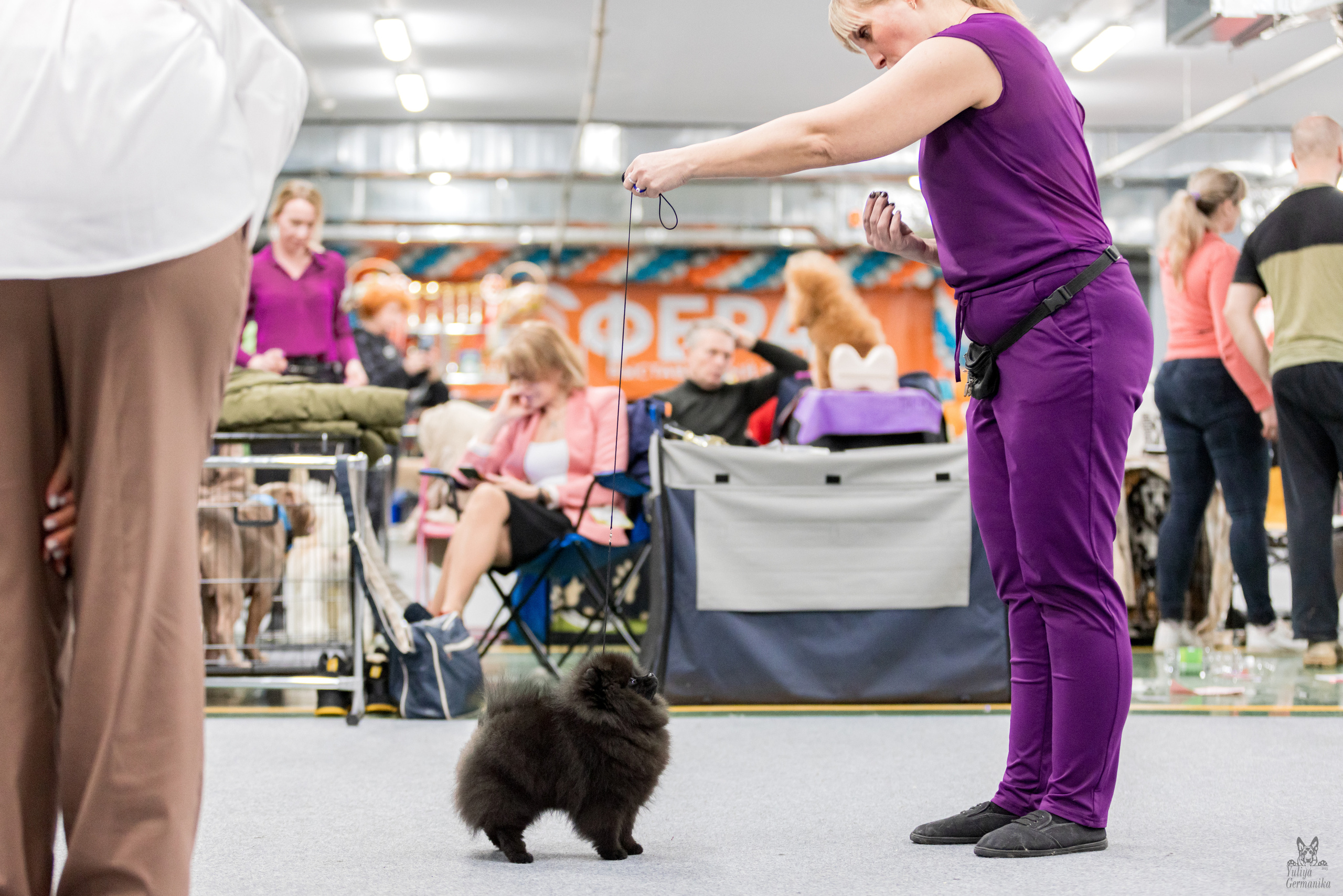 Сфера 5.03.2023. Фотограф-анималист Юлия Германика