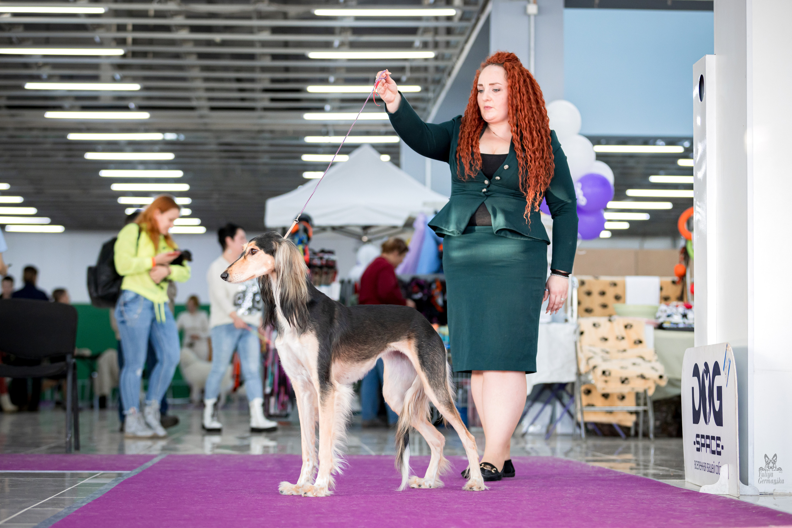 Можайский двор 11-12.02.2023. Фотограф-анималист Юлия Германика