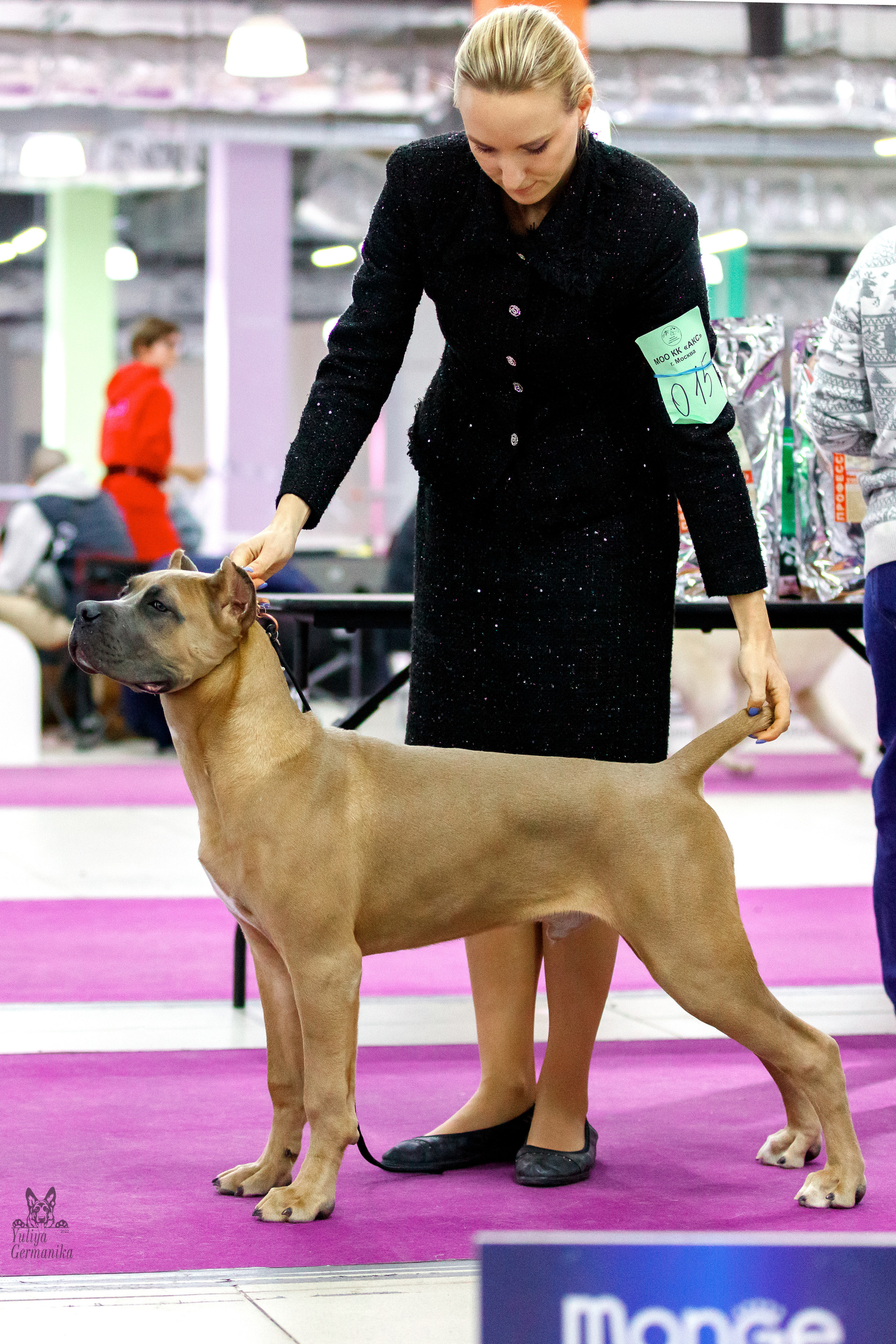 Чайна-Таун 24-25.12.2022. Фотограф-анималист Юлия Германика