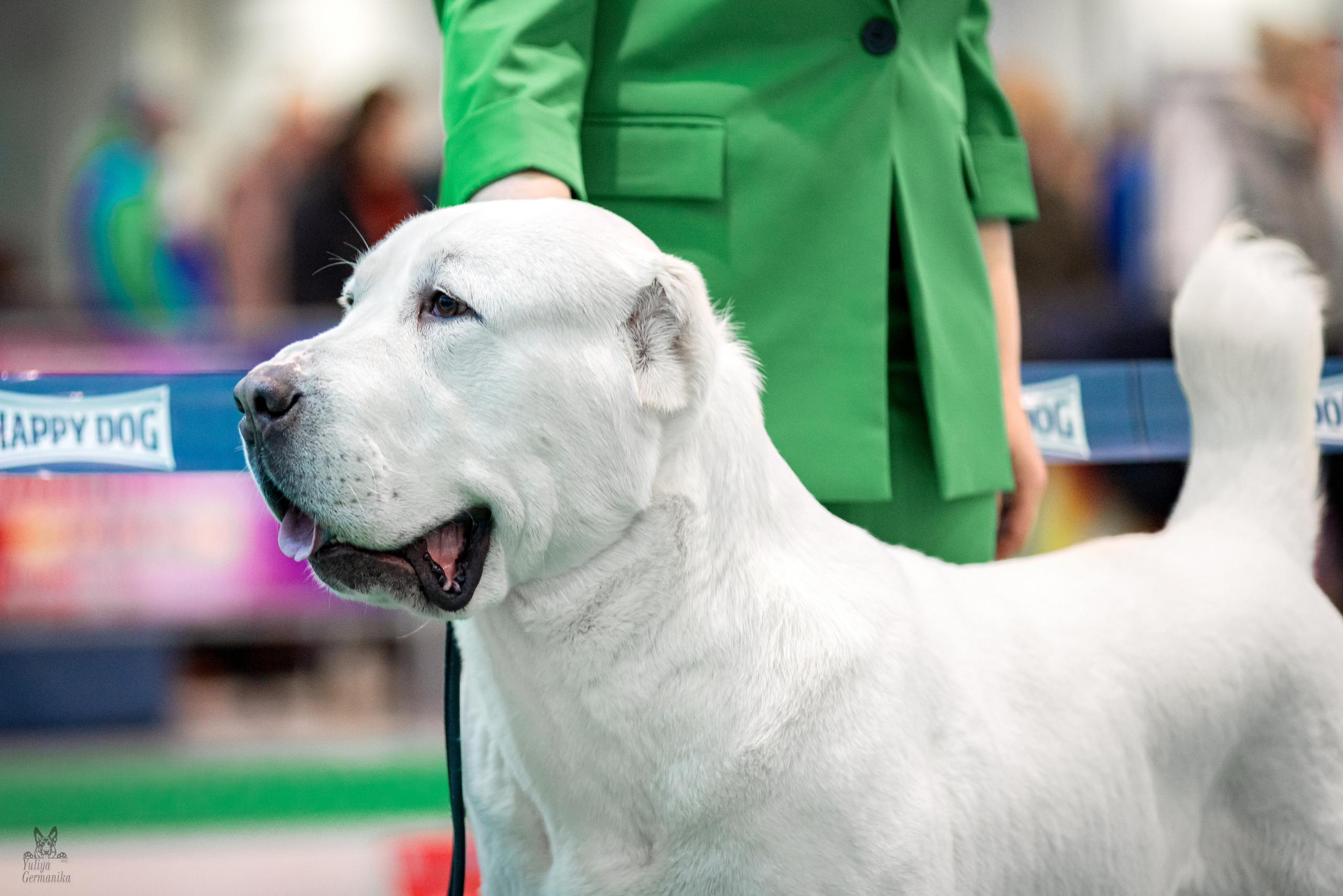 Минск 25-26.02.2023. Фотограф-анималист Юлия Германика