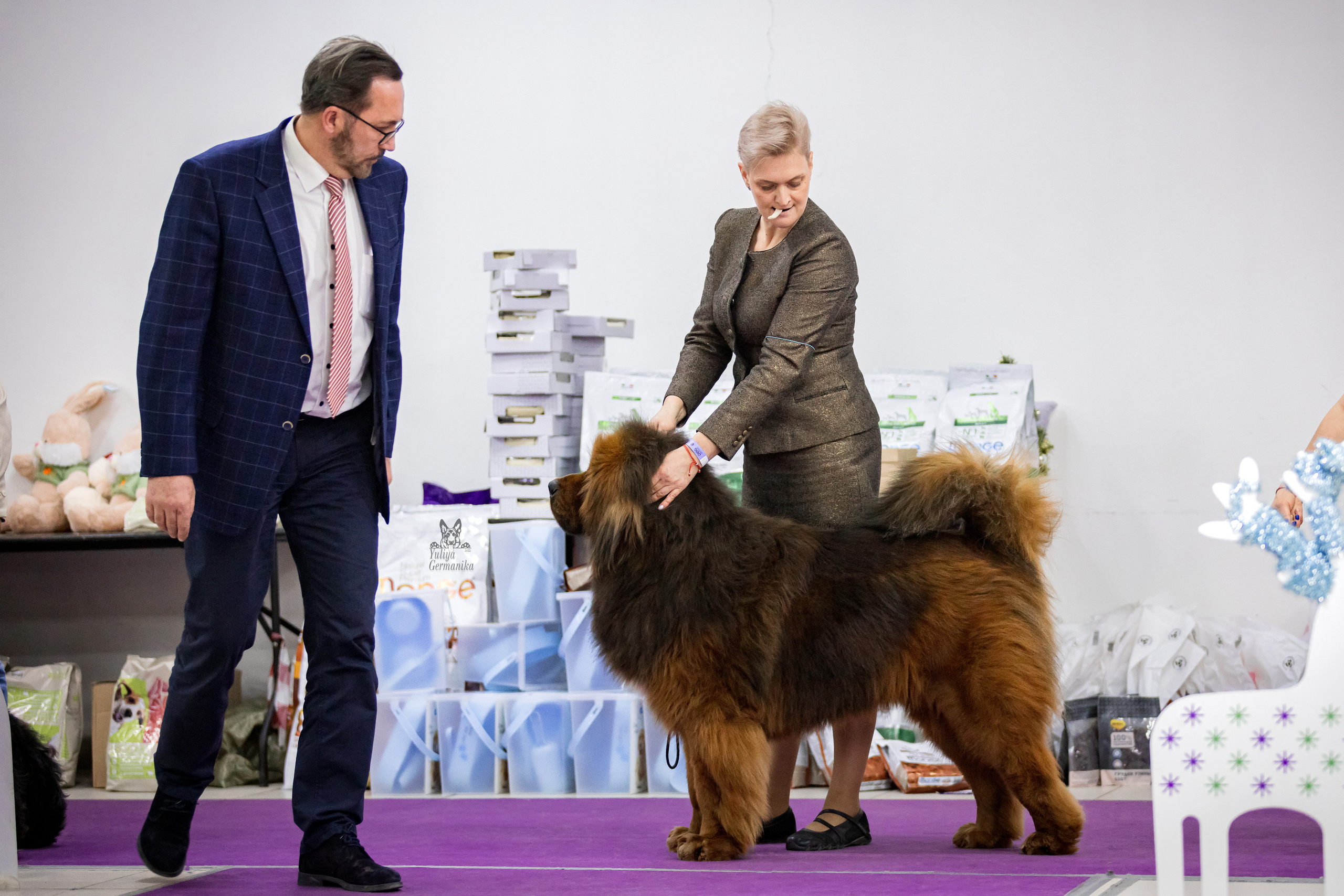 Чайна-Таун 24-25.12.2022. Фотограф-анималист Юлия Германика