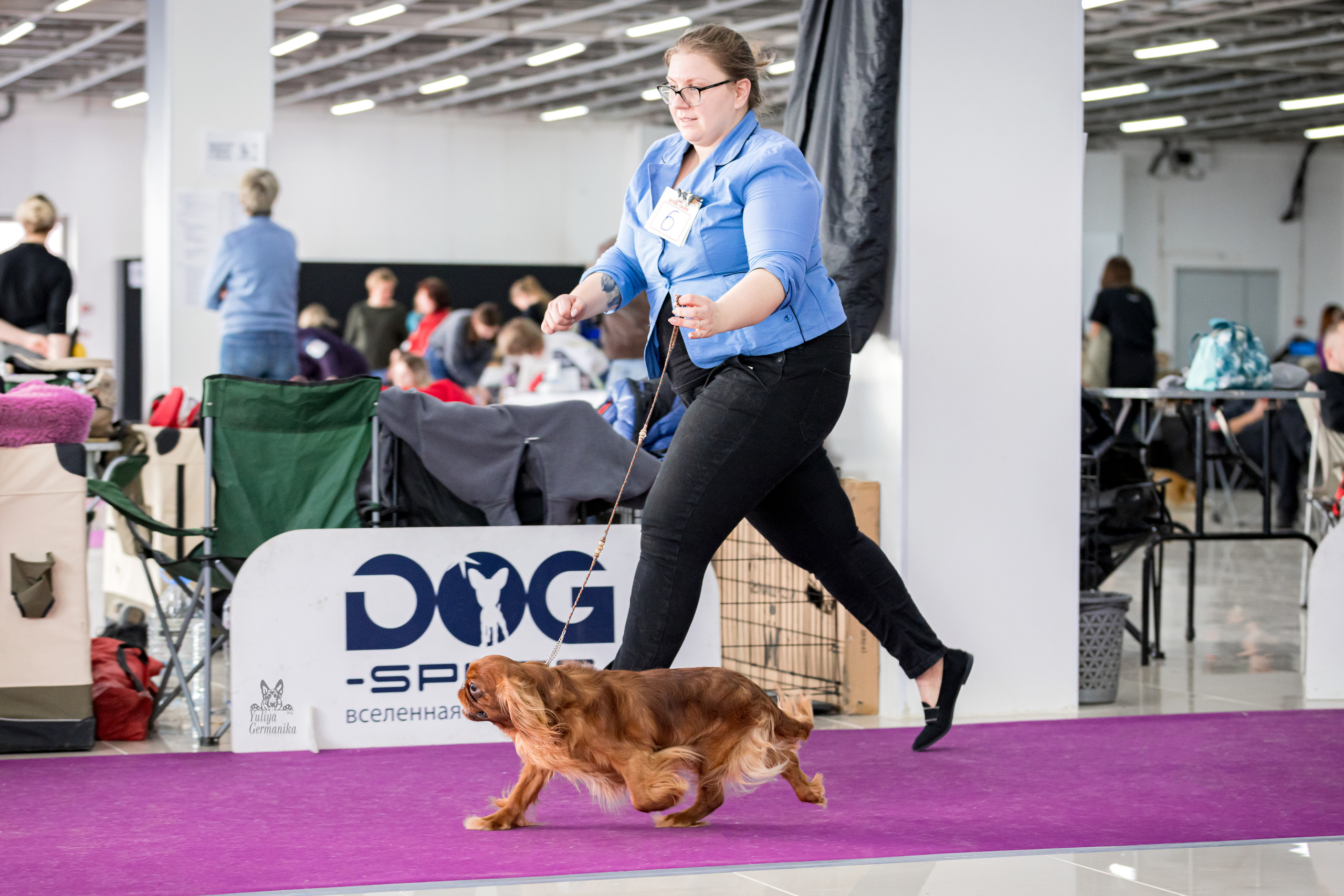 Можайский двор 11-12.02.2023. Фотограф-анималист Юлия Германика