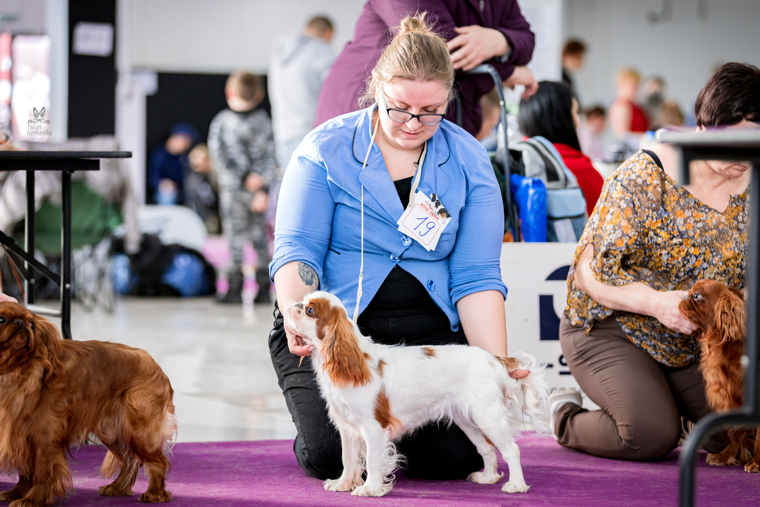 Можайский двор 11-12.02.2023. Фотограф-анималист Юлия Германика