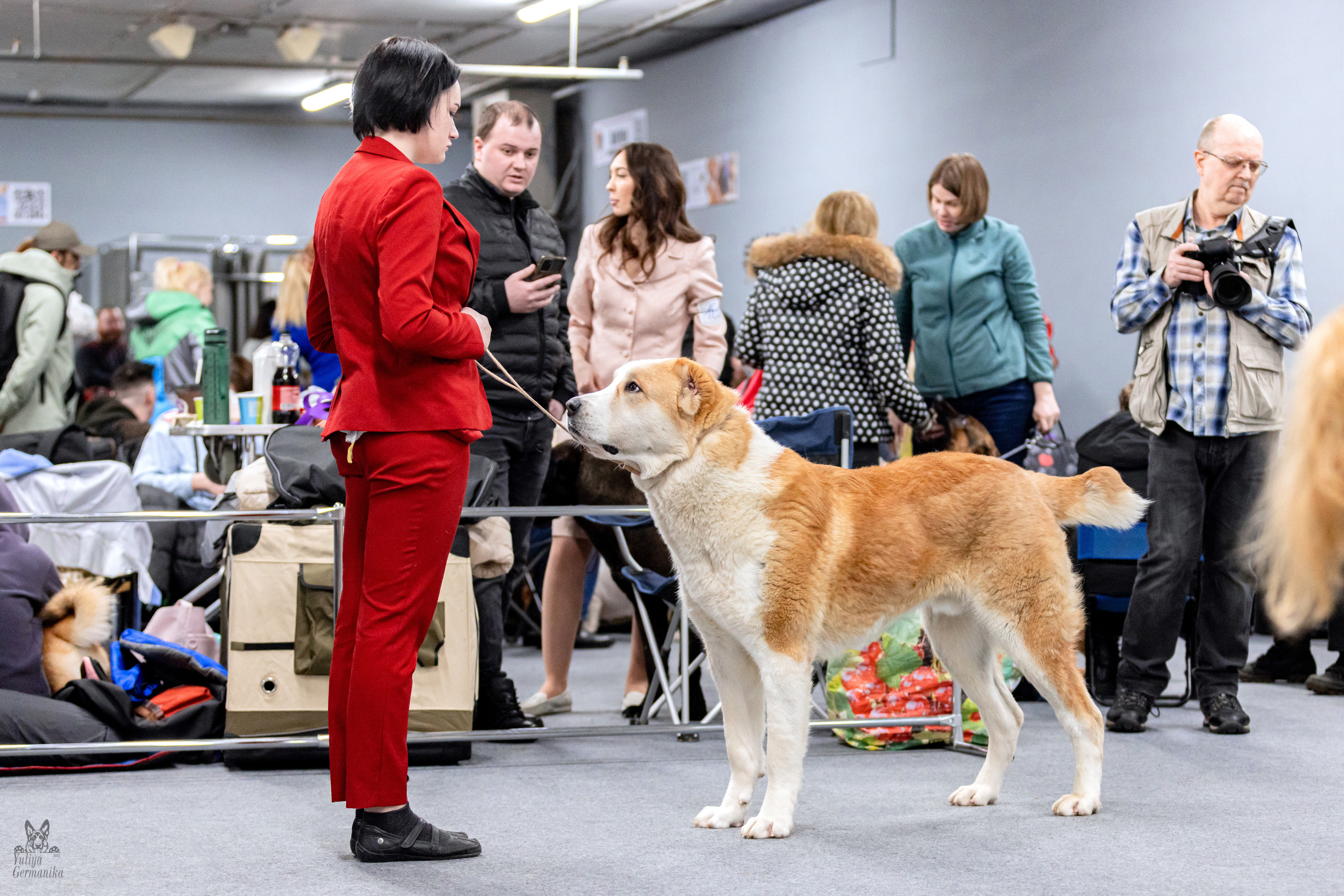 Сфера 5.03.2023. Фотограф-анималист Юлия Германика
