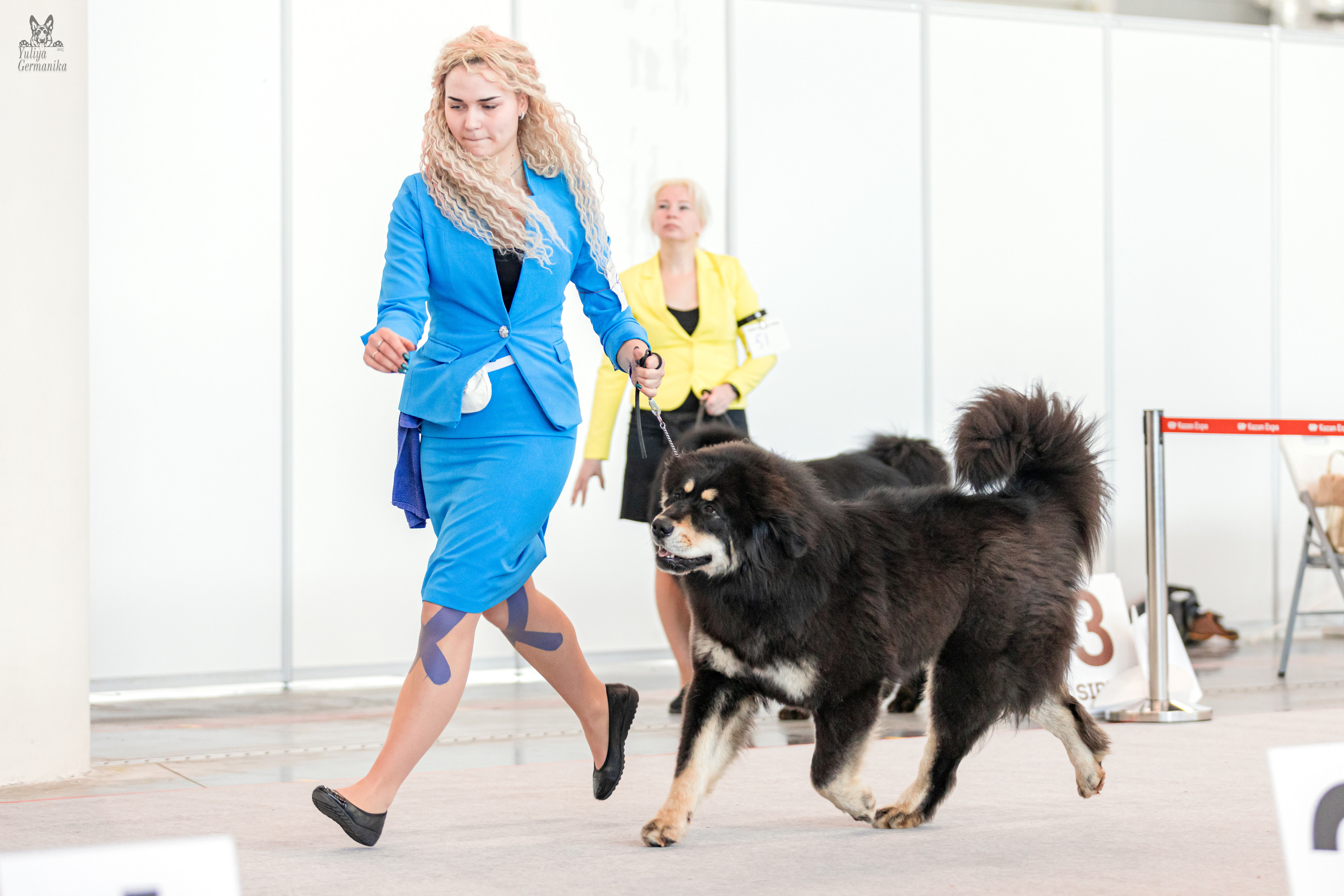 Казань 11.03.2023. Фотограф-анималист Юлия Германика