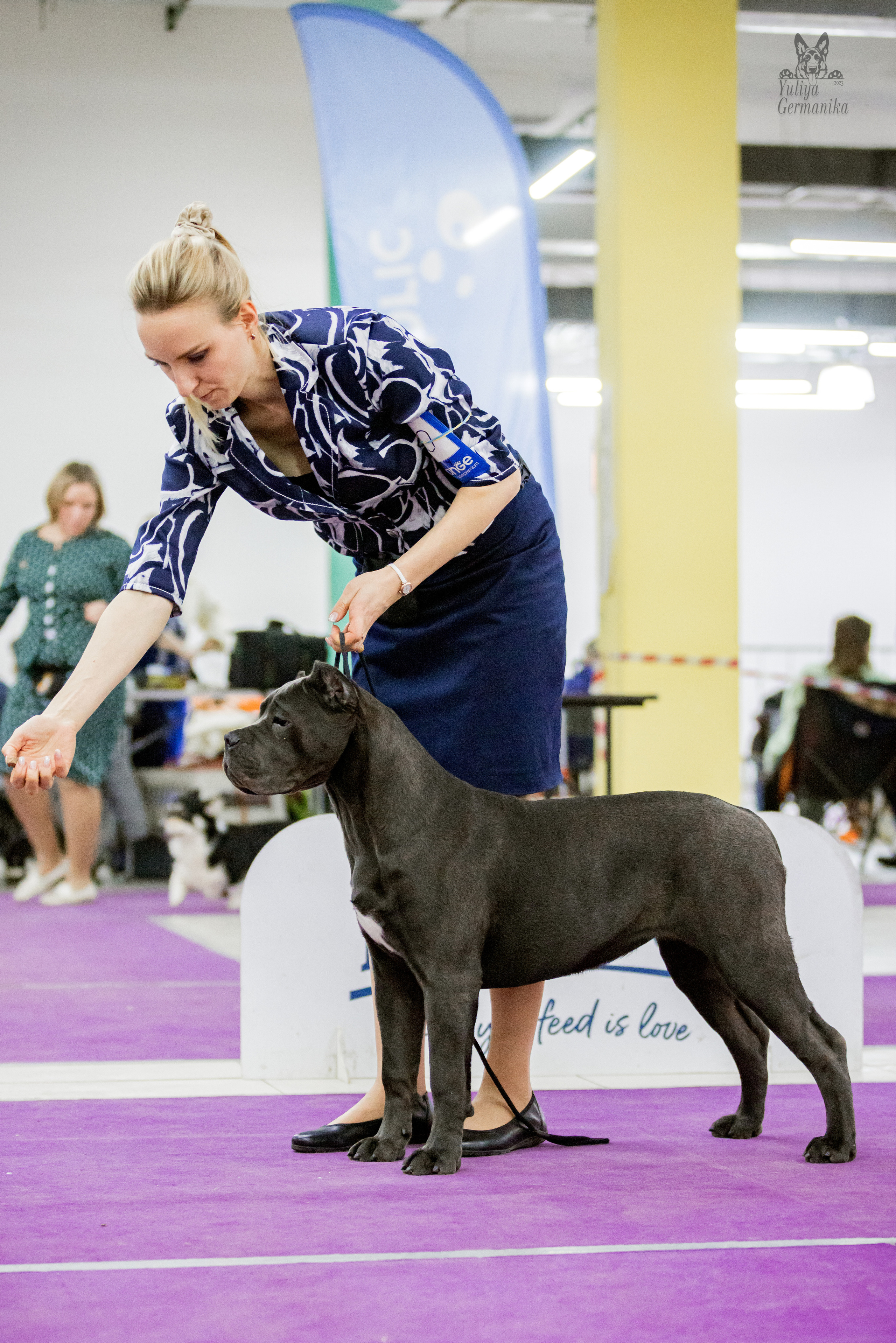 Чайна-Таун 15,21 и 22.01.2023. Фотограф-анималист Юлия Германика