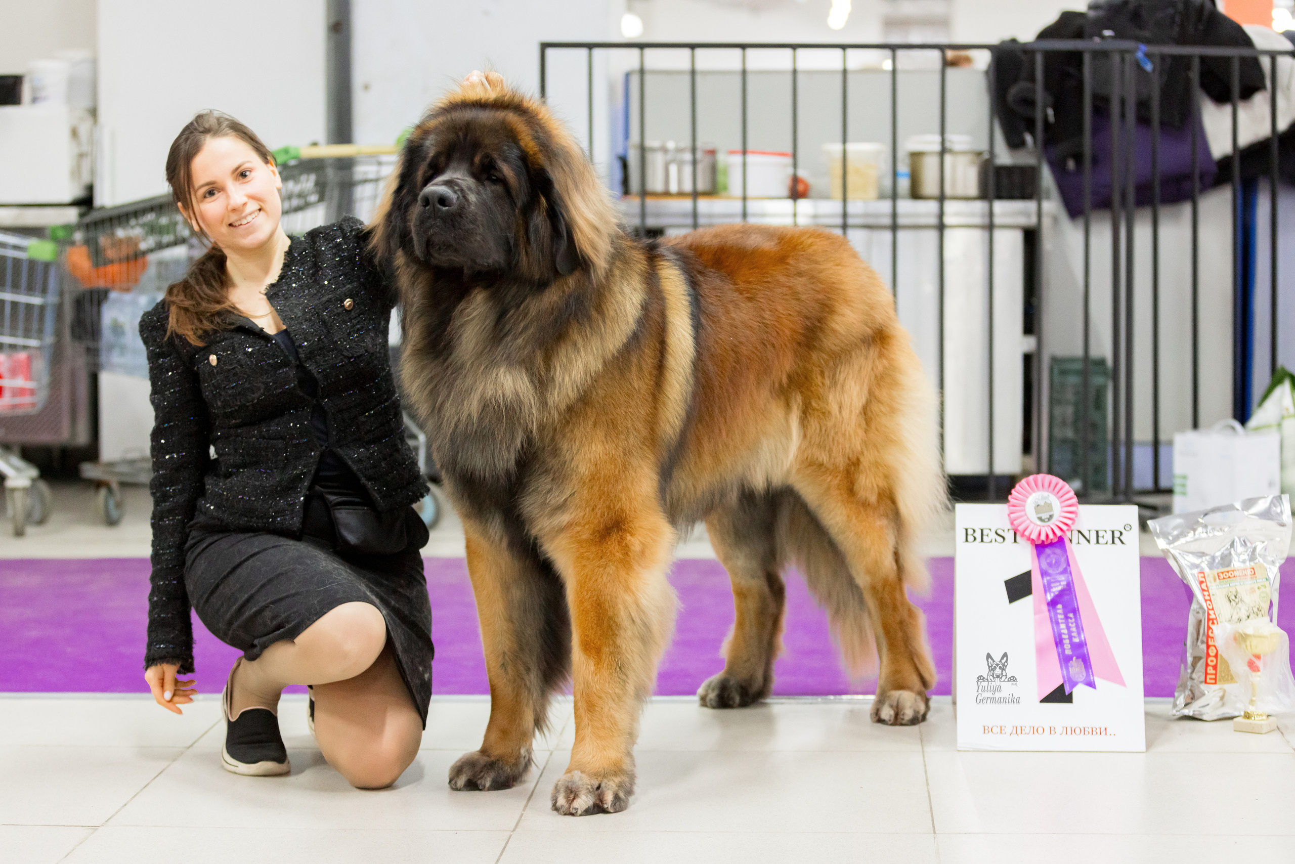 Чайна-Таун 5-8.01.2023. Фотограф-анималист Юлия Германика