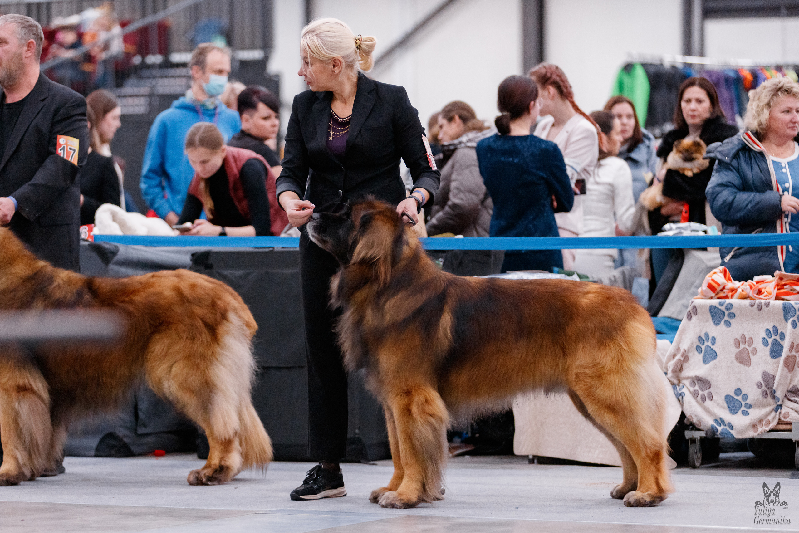 Питер 17-18.12.2022. Фотограф-анималист Юлия Германика