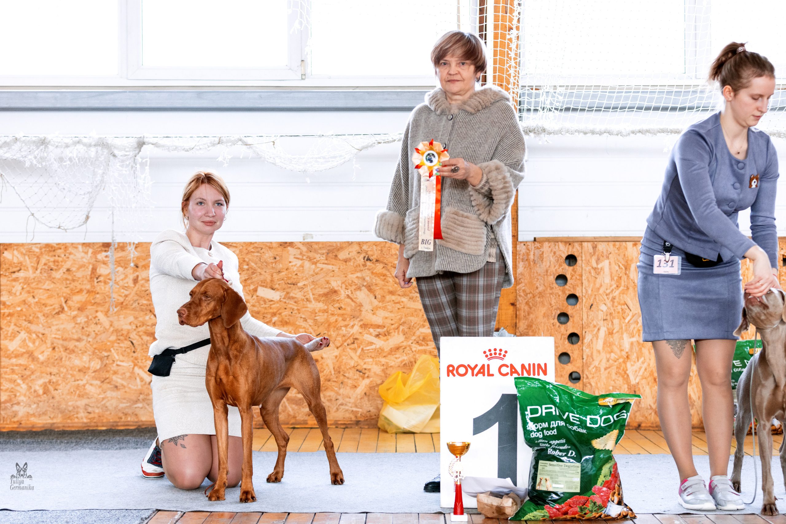 Тверь 19.03.2023. Фотограф-анималист Юлия Германика