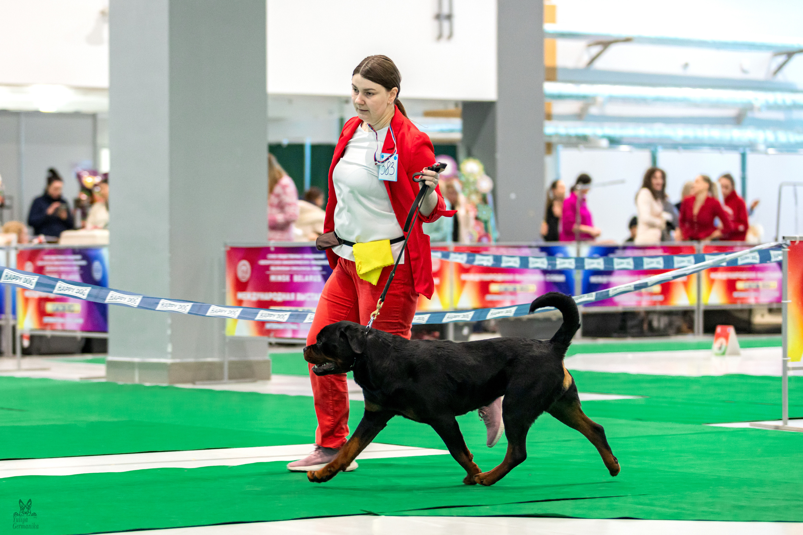 Минск 25-26.02.2023. Фотограф-анималист Юлия Германика