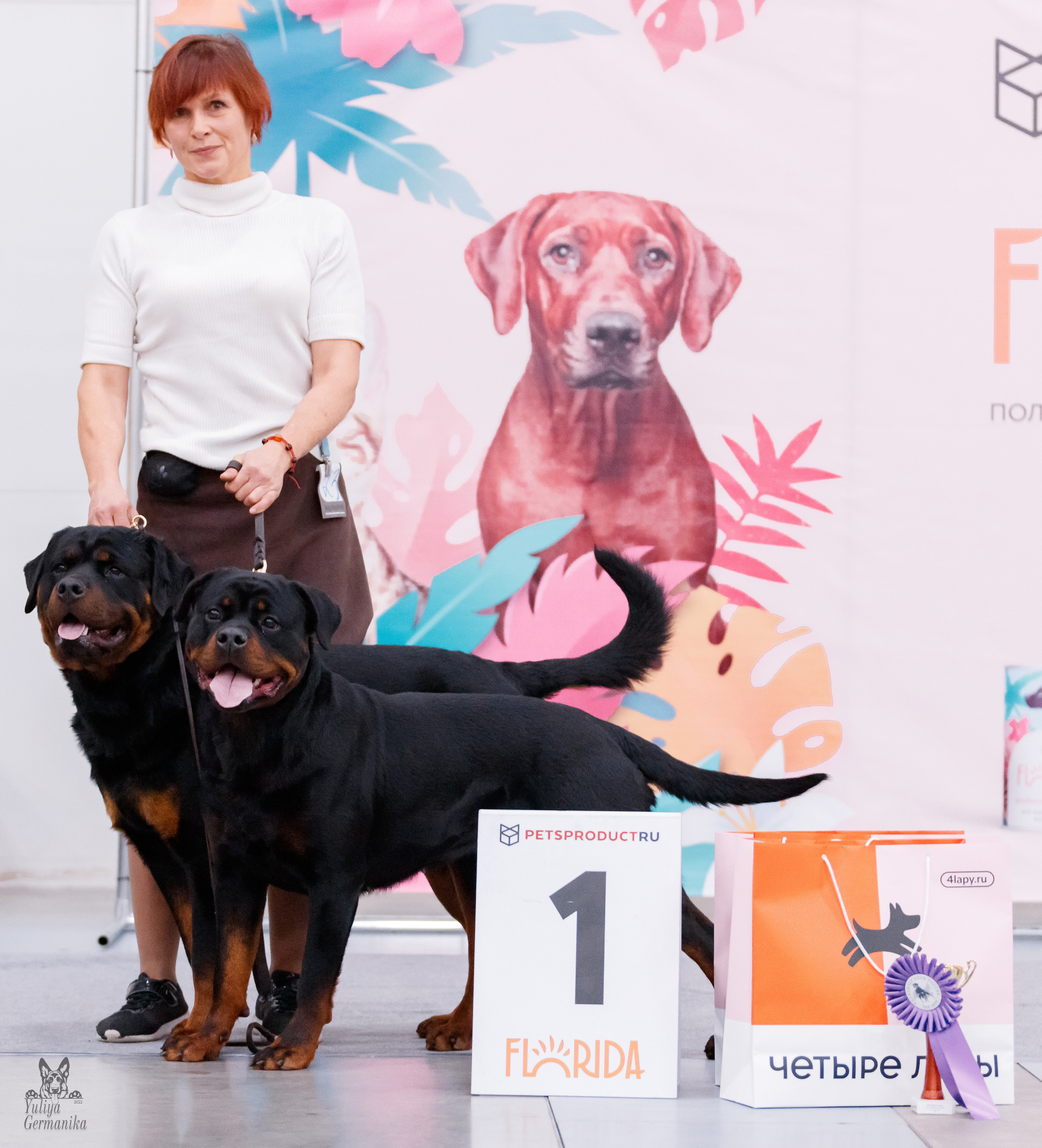 Питер 17-18.12.2022. Фотограф-анималист Юлия Германика