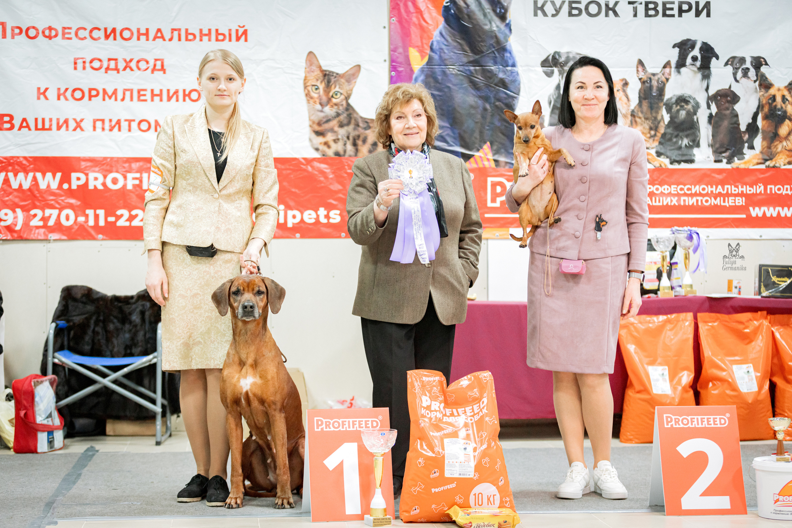 Тверь 19.02.2023. Фотограф-анималист Юлия Германика