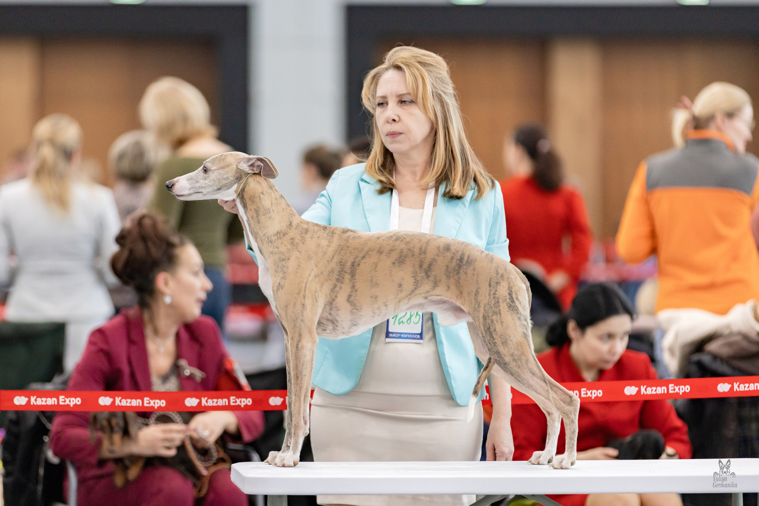 Сабанеевка,Казань 28-29.01.2023. Фотограф-анималист Юлия Германика