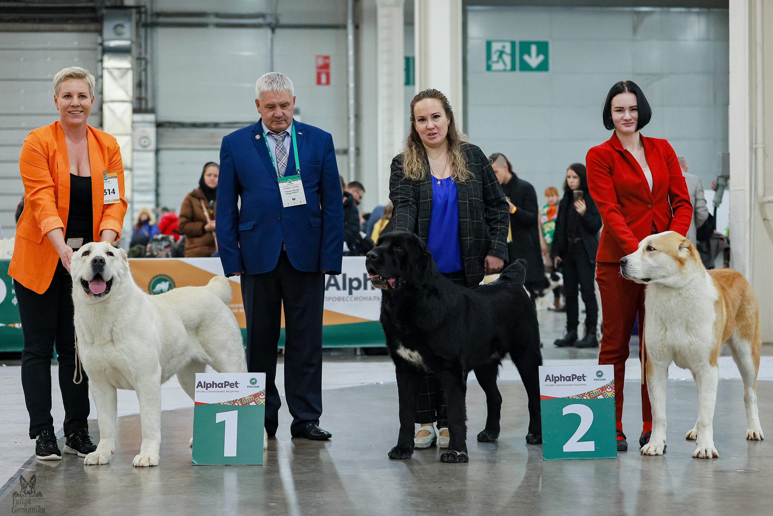 Россия 2020-2022 26-27.11.2022. Фотограф-анималист Юлия Германика